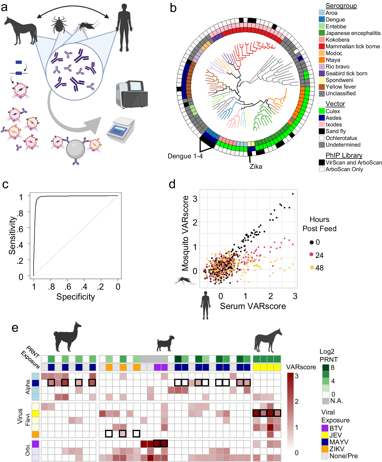 Fig. 1: IgG profiling with the T7 phage displayed ArboScan library.