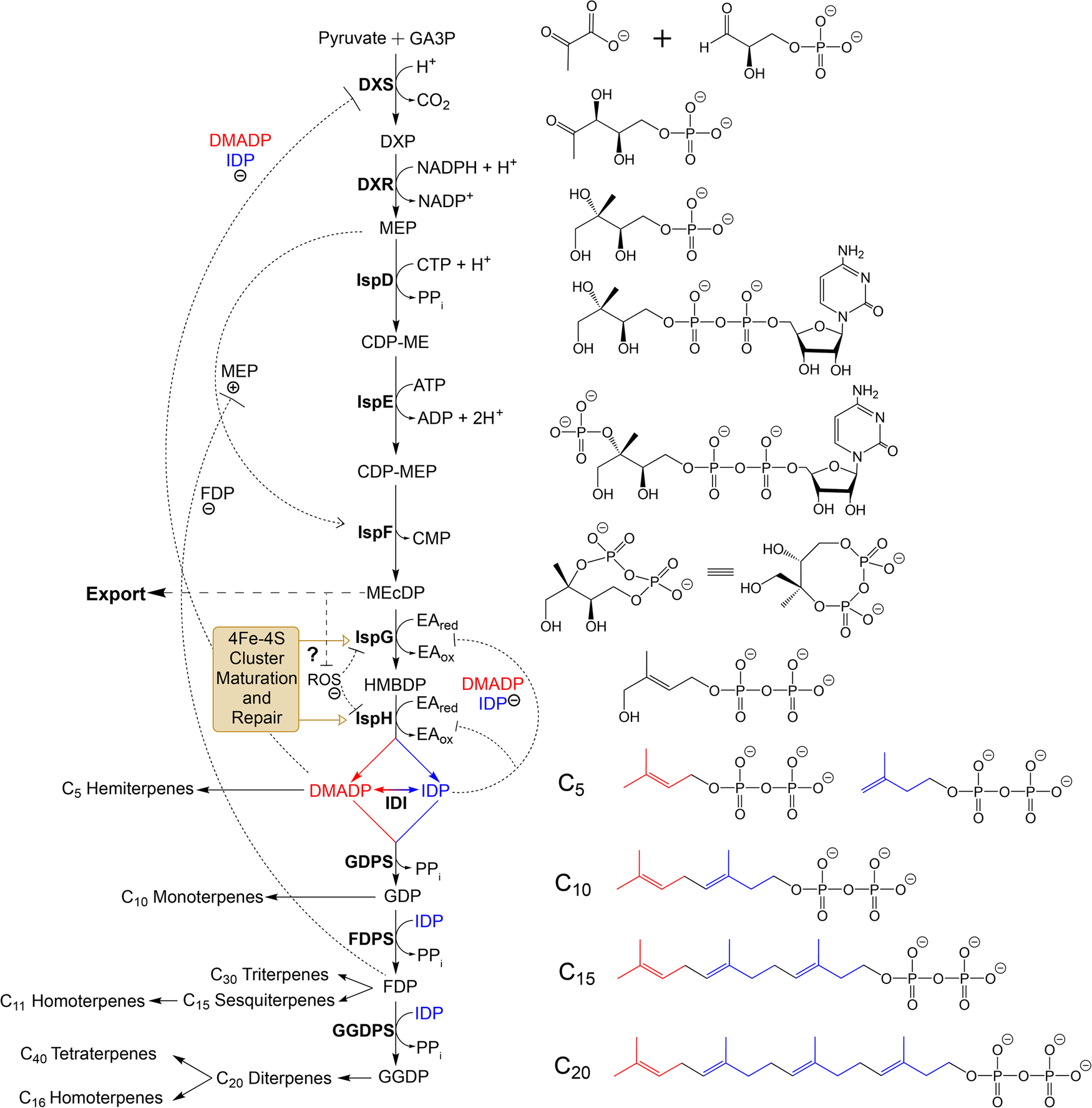 nn ung glutathione bao lu Ung Glutathione Bao Lu Th Trng? Thi im No Nn Ung