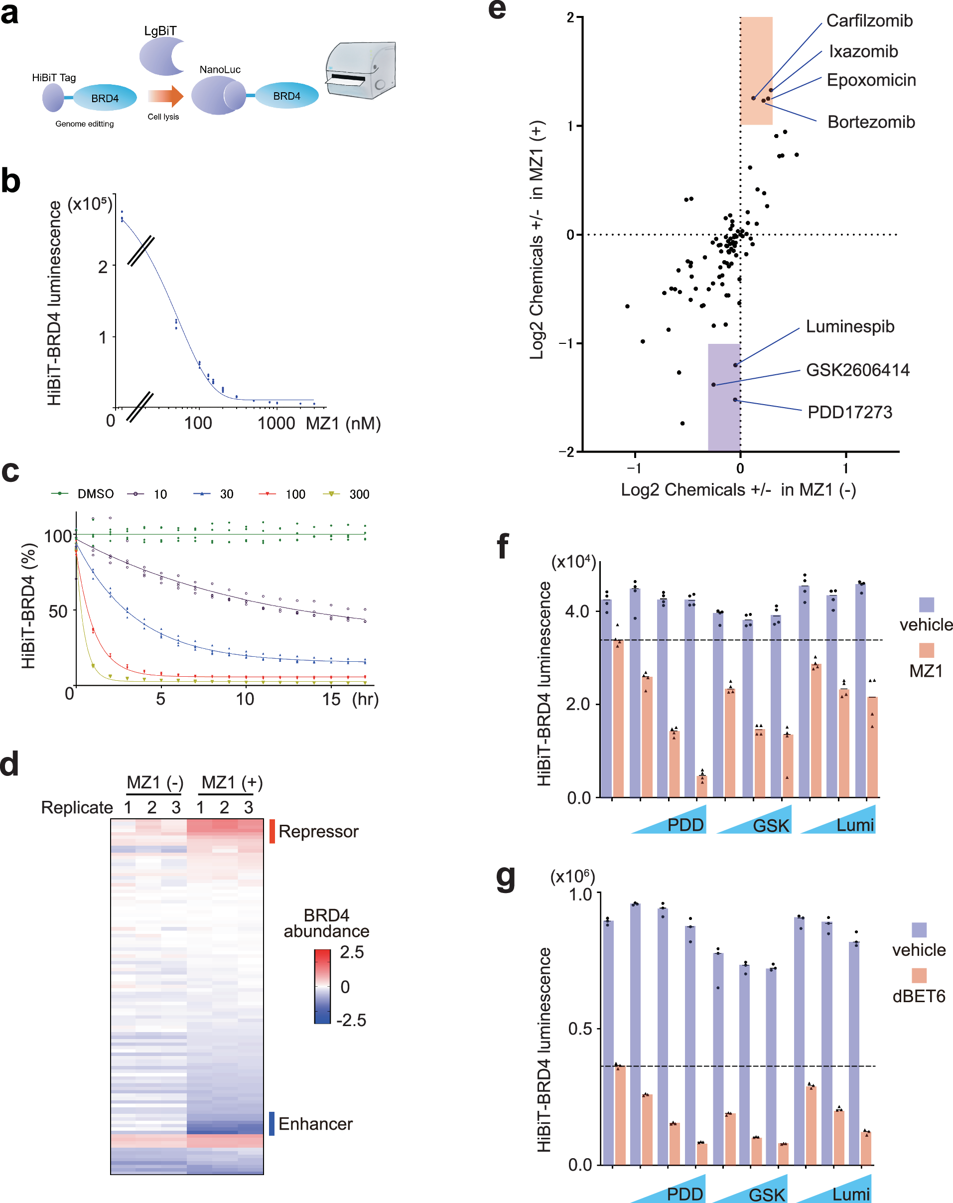 Fig. 1: Screening of pathways modulating targeted degradation of BRD4.