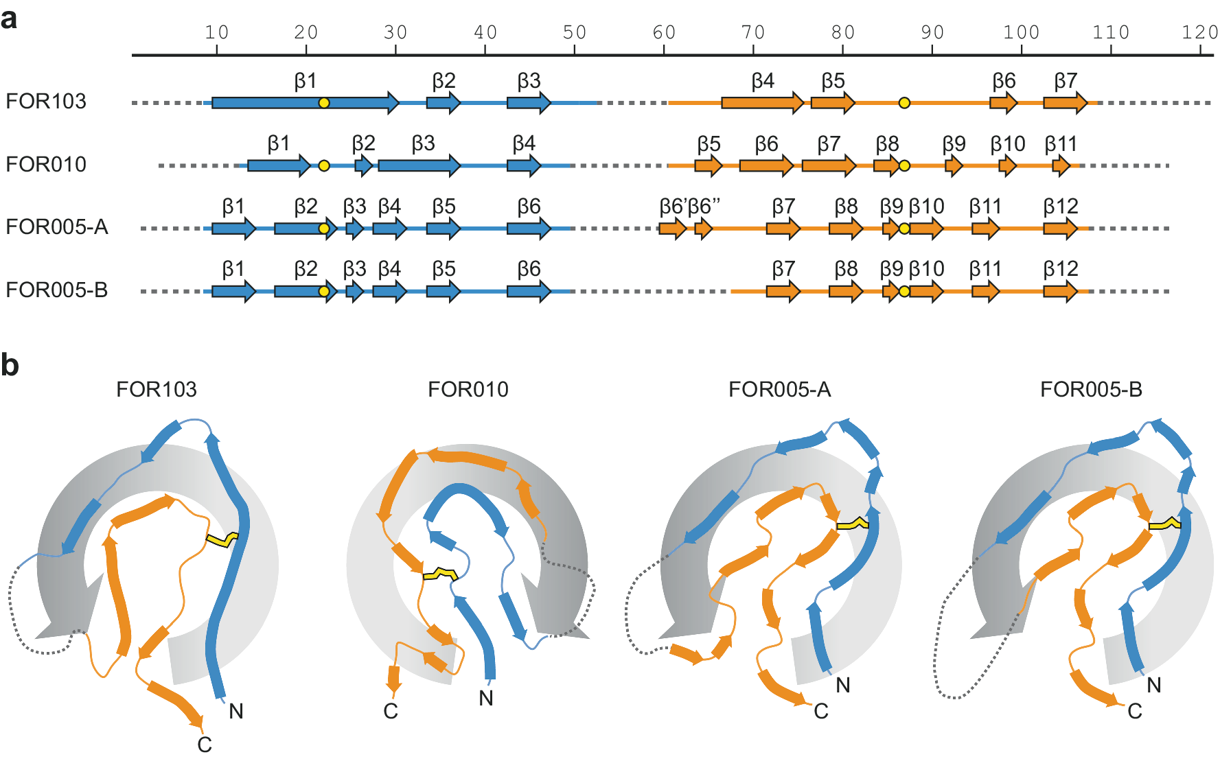 Fig. 3: Secondary structural composition of the fibrils.