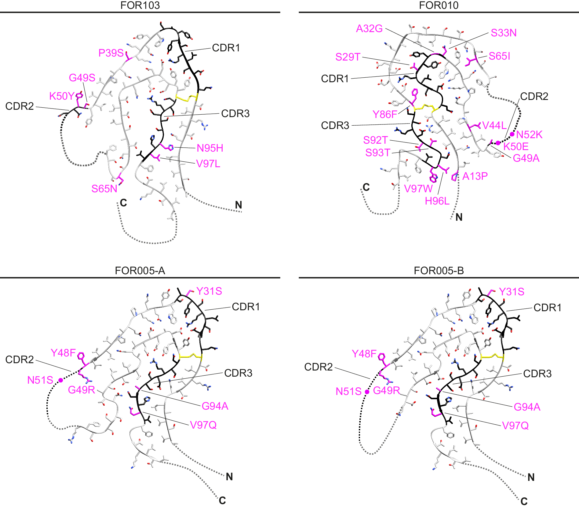 Fig. 5: Mutations of the fibril proteins.