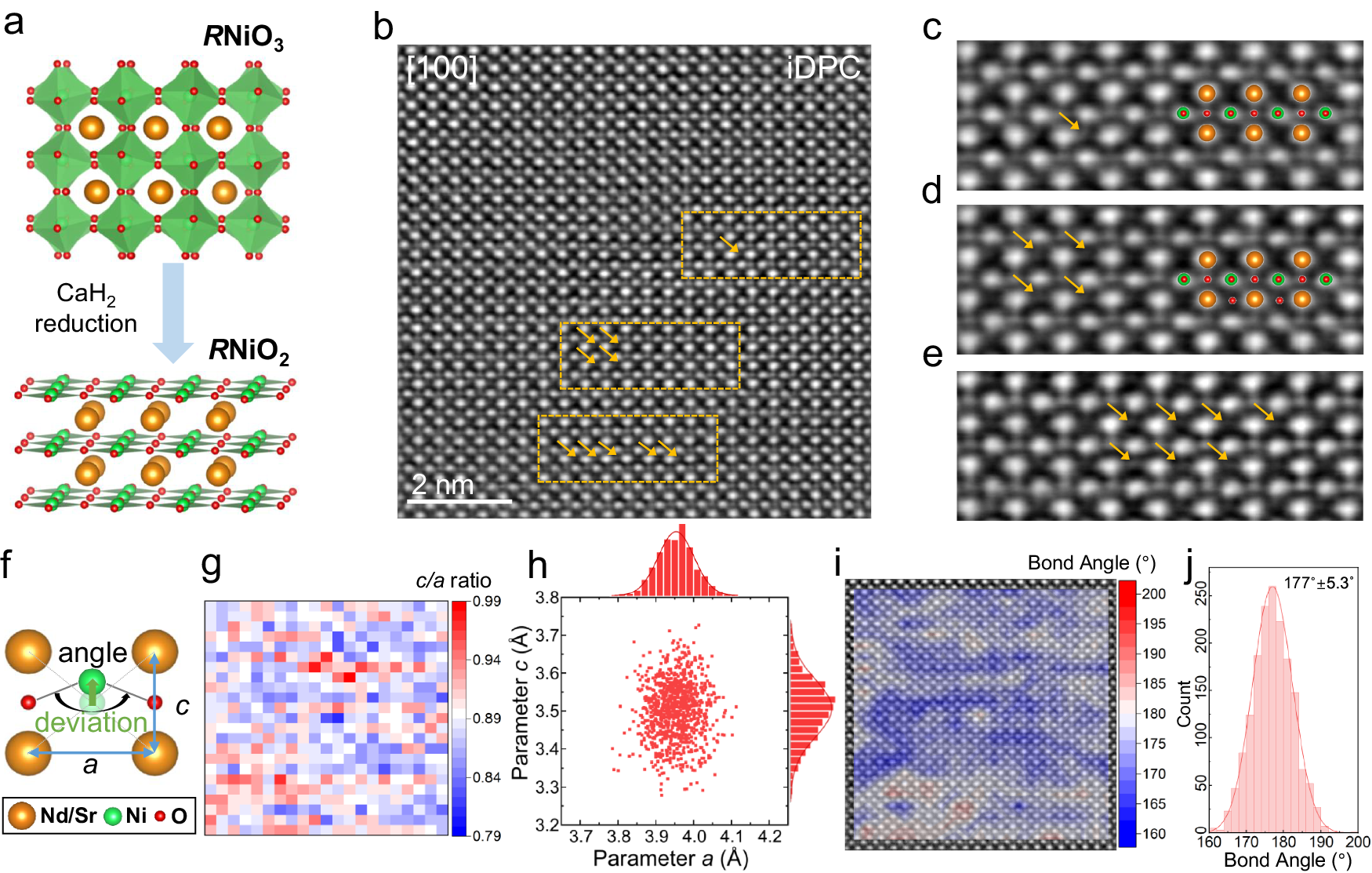 Fig. 5: Atomic iDPC-STEM imaging of infinite-layer phase.