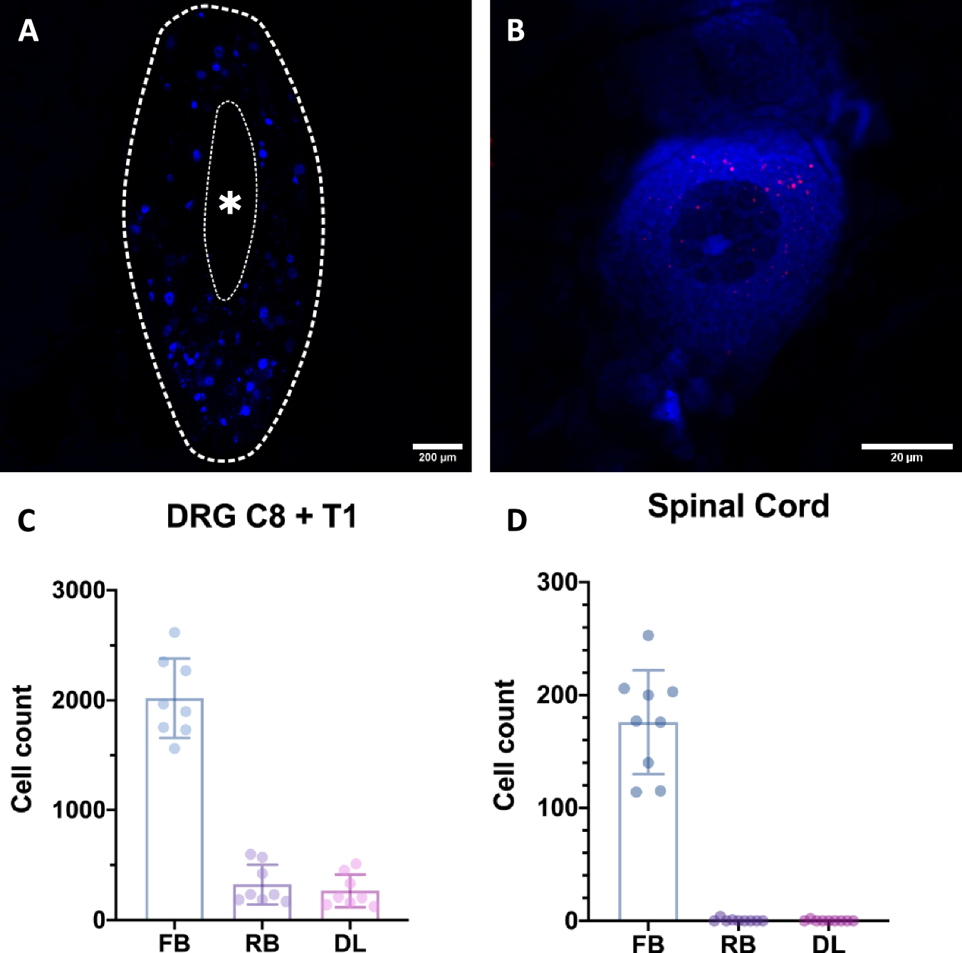 Fig. 8: Analysis of the DRGs (n = 8, biological replicates) and SCs (n = 9, biological replicates).