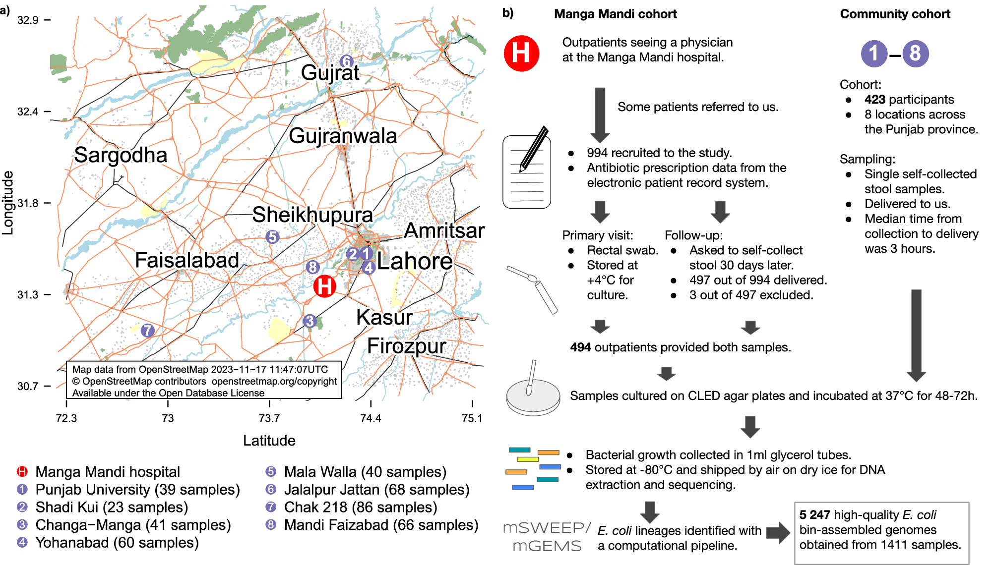 Deep sequencing of Escherichia coli exposes colonisation diversity and  impact of antibiotics in Punjab, Pakistan | Nature Communications, image size:2000x1140