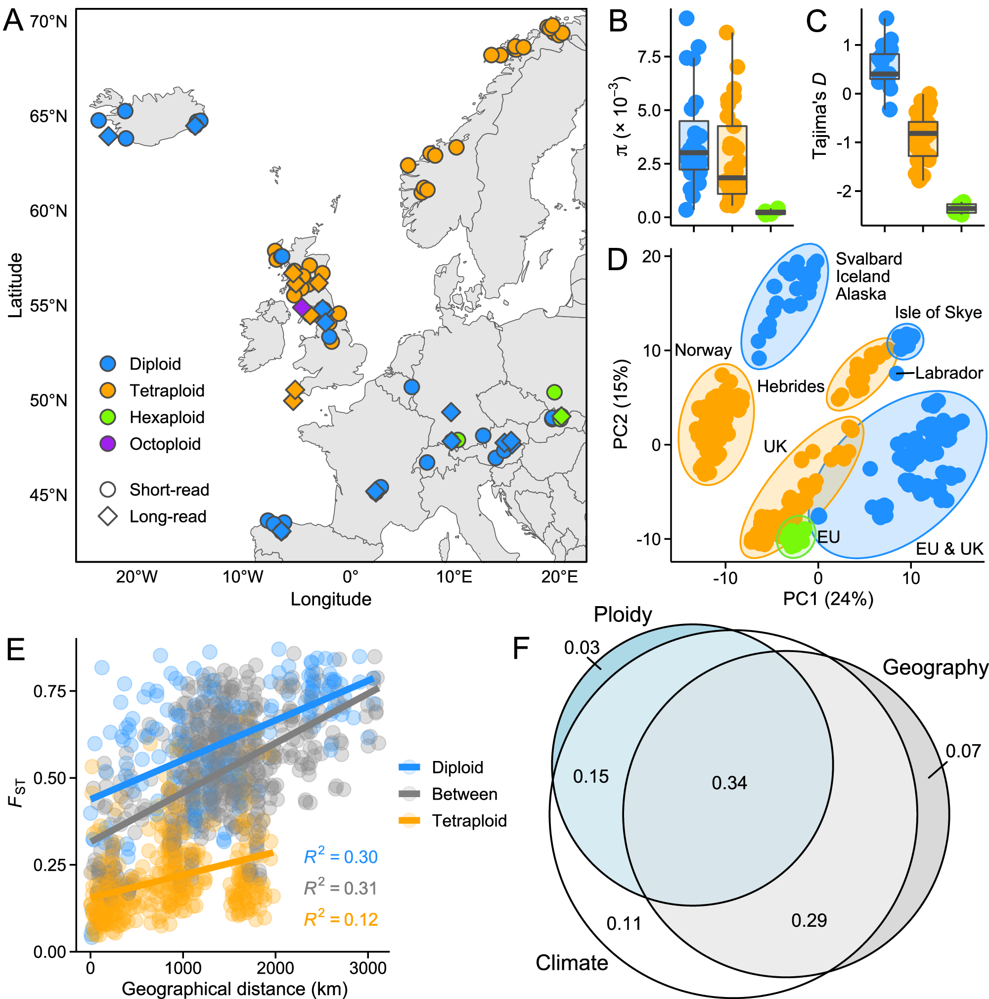 Impact of whole-genome duplications on structural variant evolution in  Cochlearia | Nature Communications