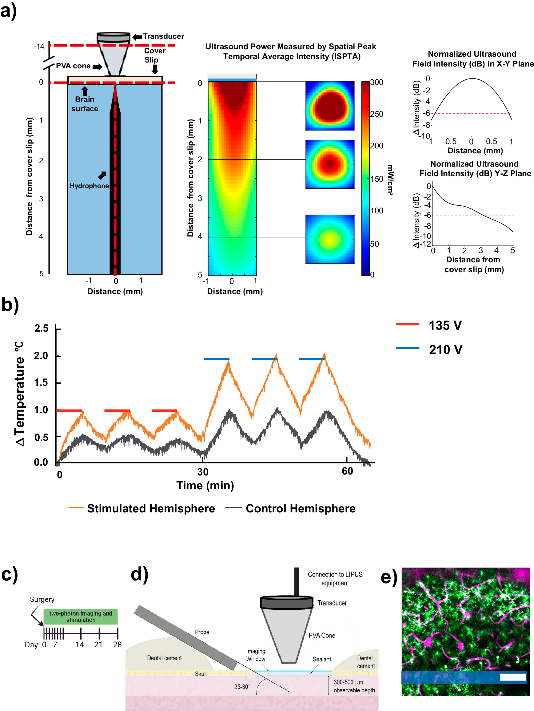 Fig. 1: Experimental apparatus for LIPUS treatment and two-photon imaging of microglia and vasculature following microelectrode implantation.