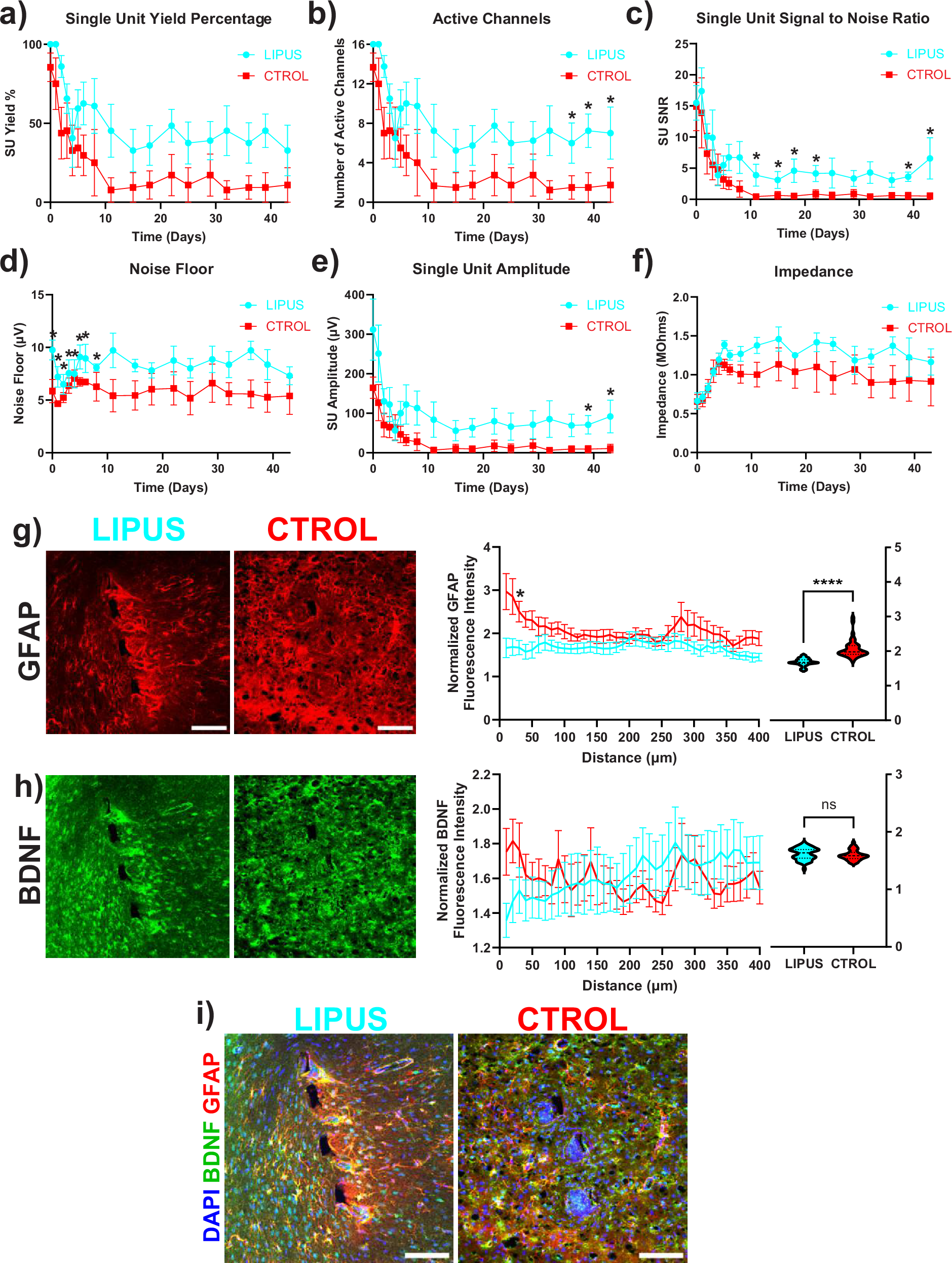 Fig. 8: LIPUS improves neuronal single-unit activity and decreases astrocytic scar formation around the probe.