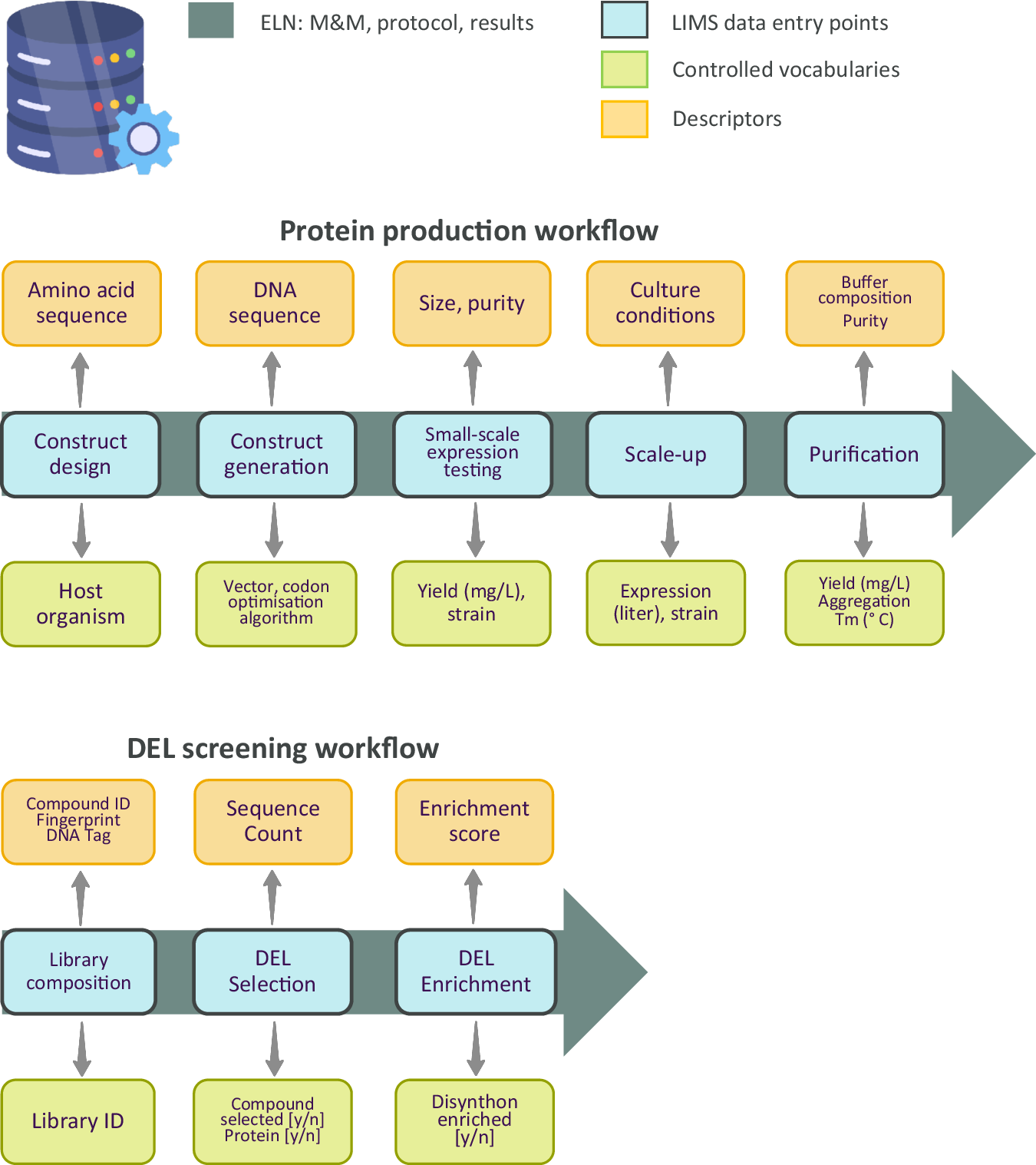 Fig. 1: Data management workflows for protein production and chemical library screening.