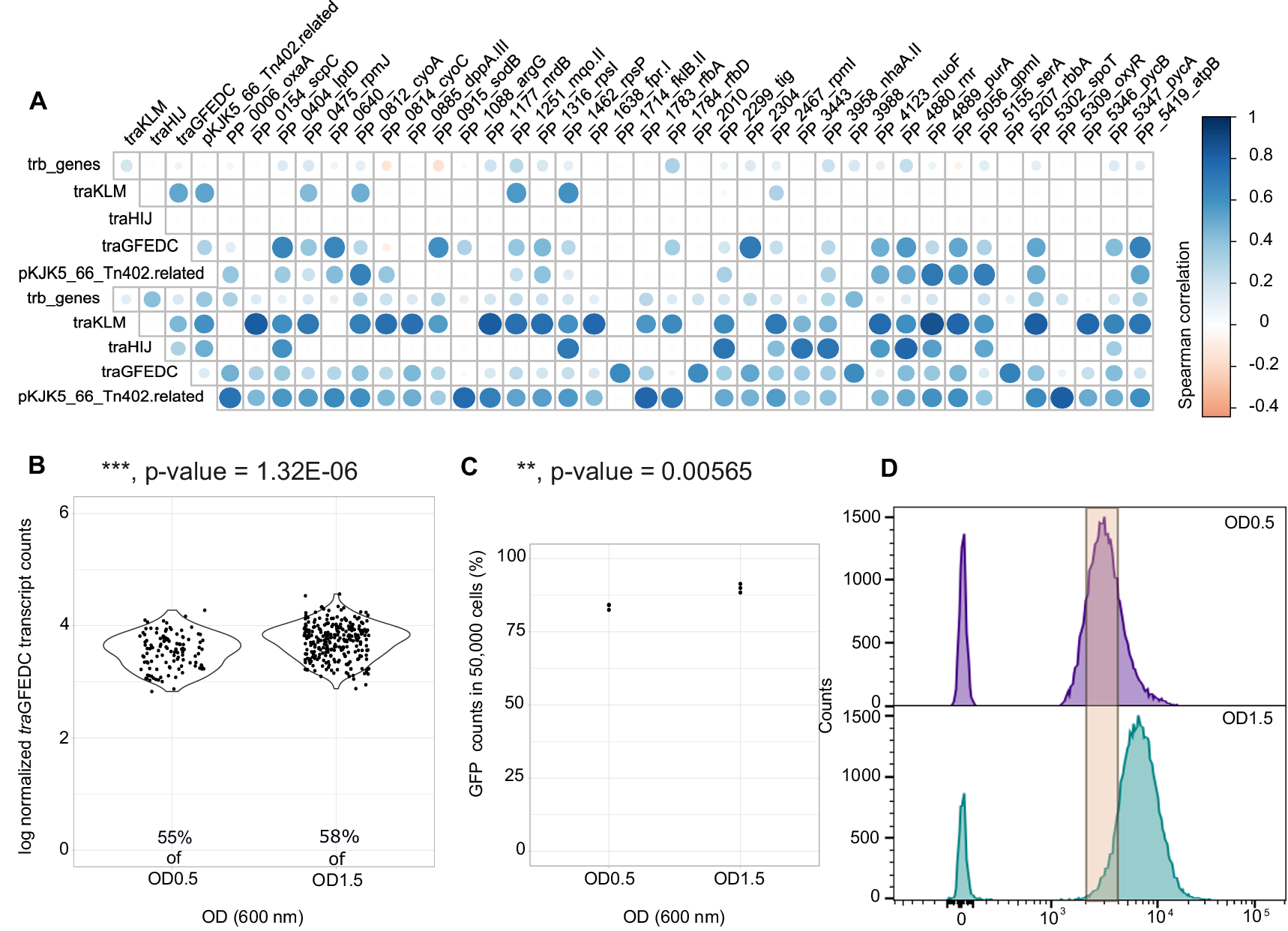 Fig. 4: Subpopulation transcriptional heterogeneity of the traGFEDC operon, which is essential for conjugation, validated by flow cytometry of the promoter-sfGFP fusion reporter.