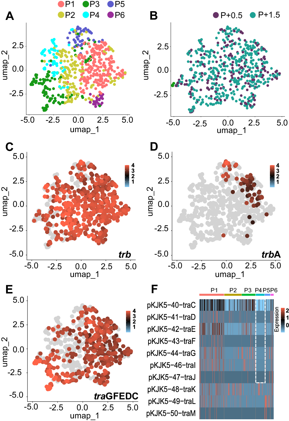 Fig. 5: Plasmid single-cell transcriptome clustering suggests population heterogeneity in plasmid gene transcription, with differential expression of tra genes.