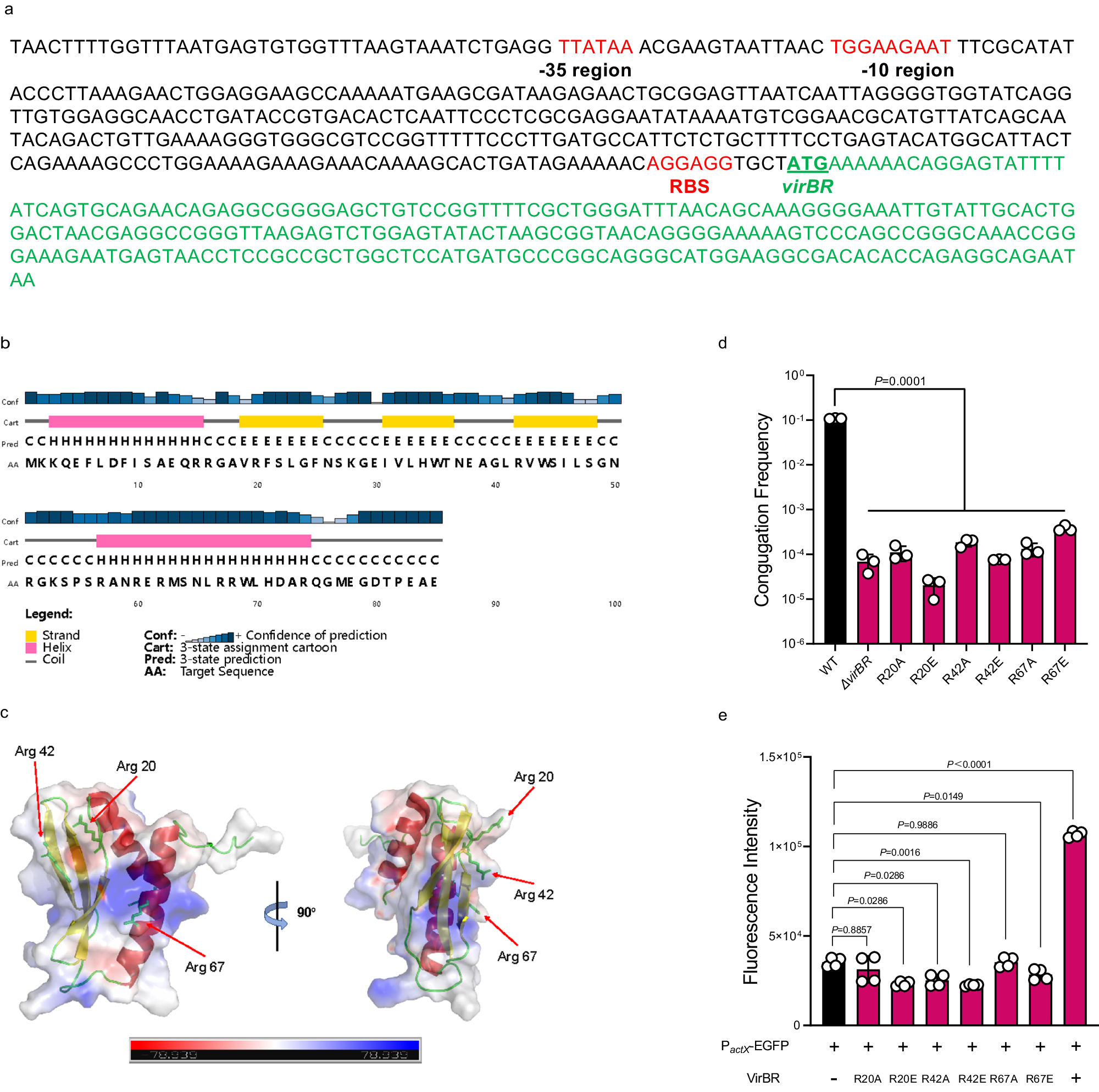 Fig. 4: The sequence of virBR gene and upstream region, and key amino acids of VirBR.