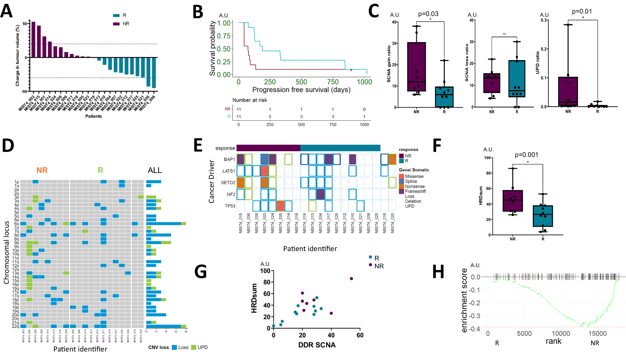 Fig. 2: Efficacy and genomic correlates of response to dual PD-L1-VEGF inhibition.