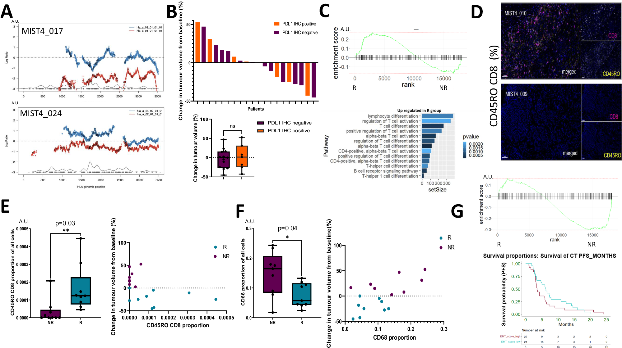 Fig. 3: Immune landscape and radiological response in MIST4.
