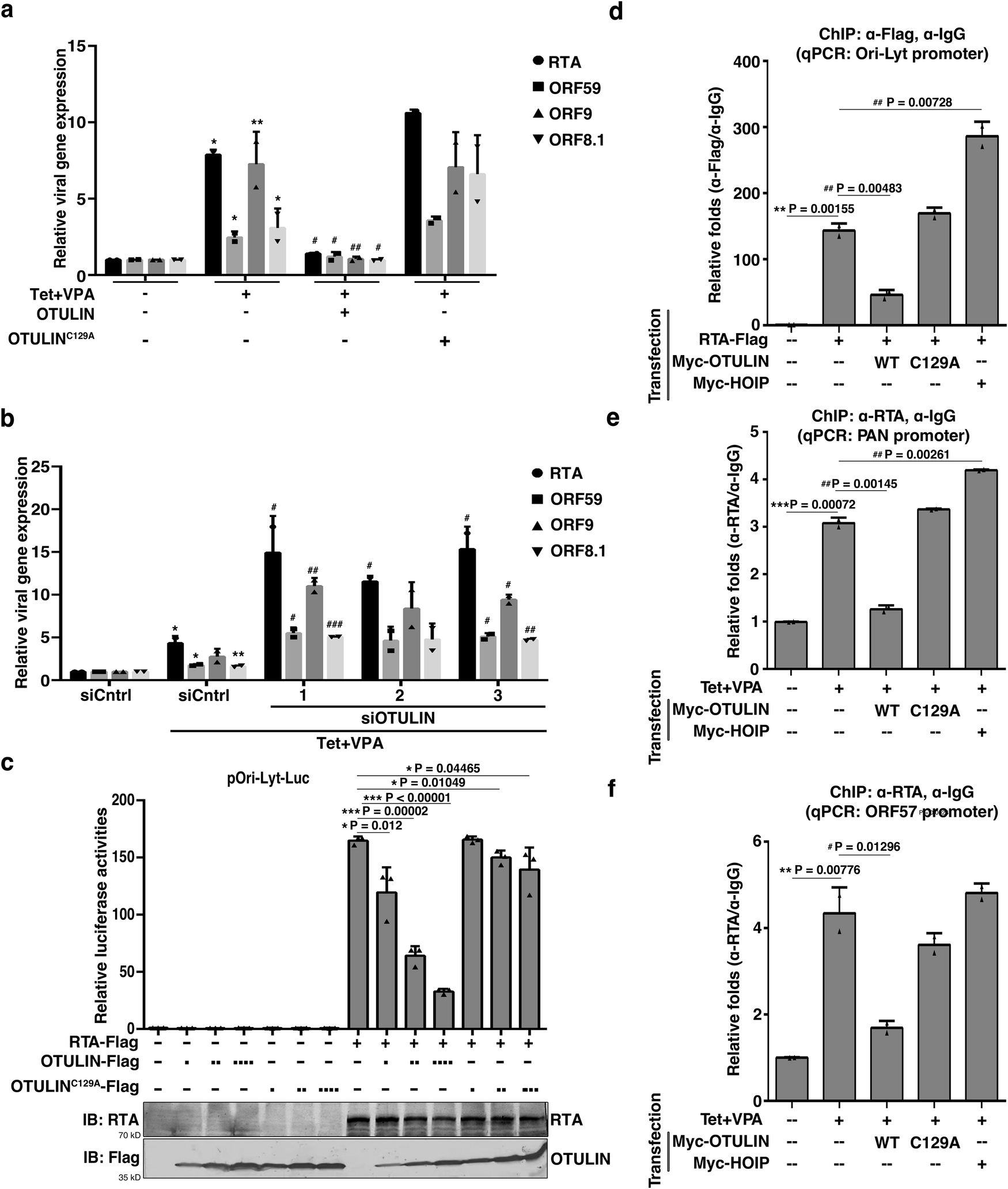 Fig. 2: Linear ubiquitination machinery regulates the transcriptional activity of KSHV RTA by modulating its binding to target gene promoters.