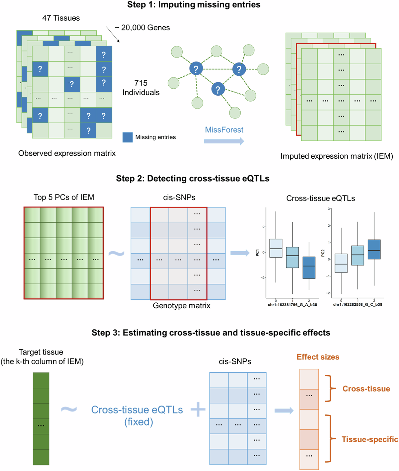 Fig. 1: Schematic diagram of the prediction stage of MTWAS.