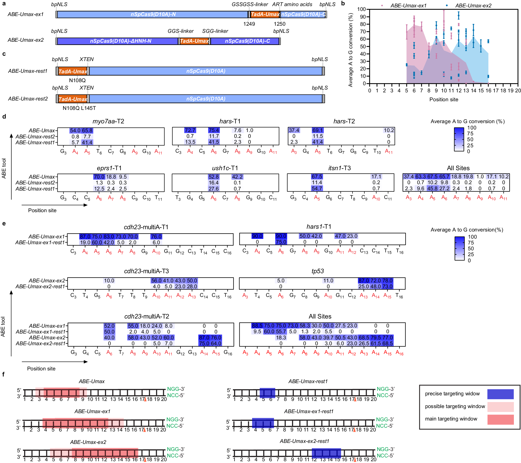 Fig. 3: Expanding editing windows for efficient and precise adenine base editing by ABE-Umax variants.