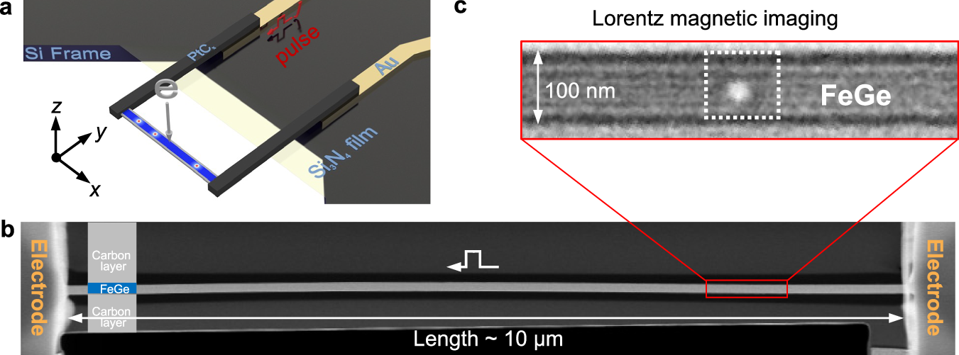 Fig. 1: Single skyrmion in a 100-nm-wide FeGe nanostripe.