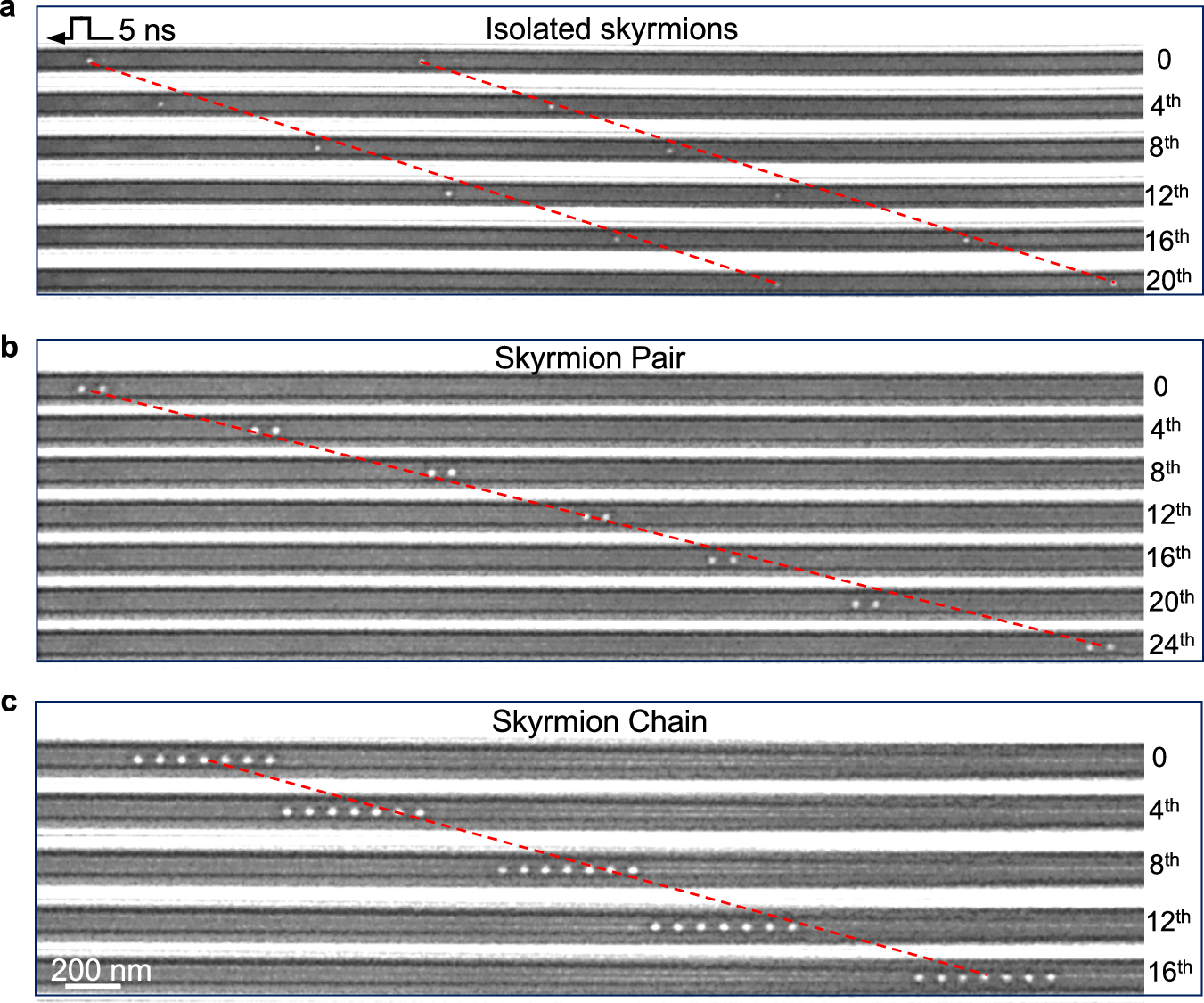 Fig. 4: Motion of various configurations of skyrmions in a 100-nm-wide nanostripe.