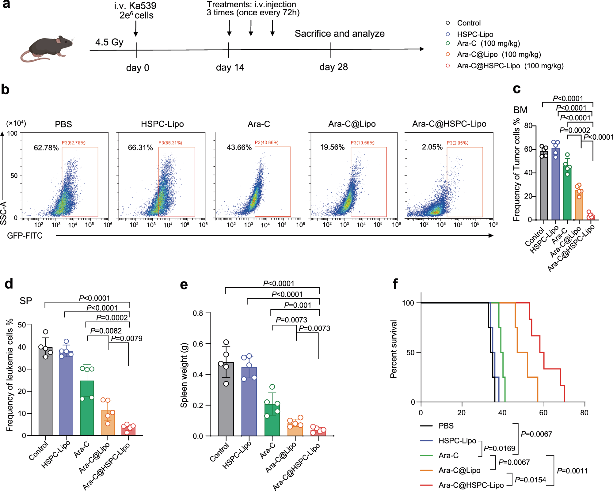 Fig. 6: The anti-leukemic effect of Ara-C@HSPC-Lipo in Ka539 leukemia mouse model.