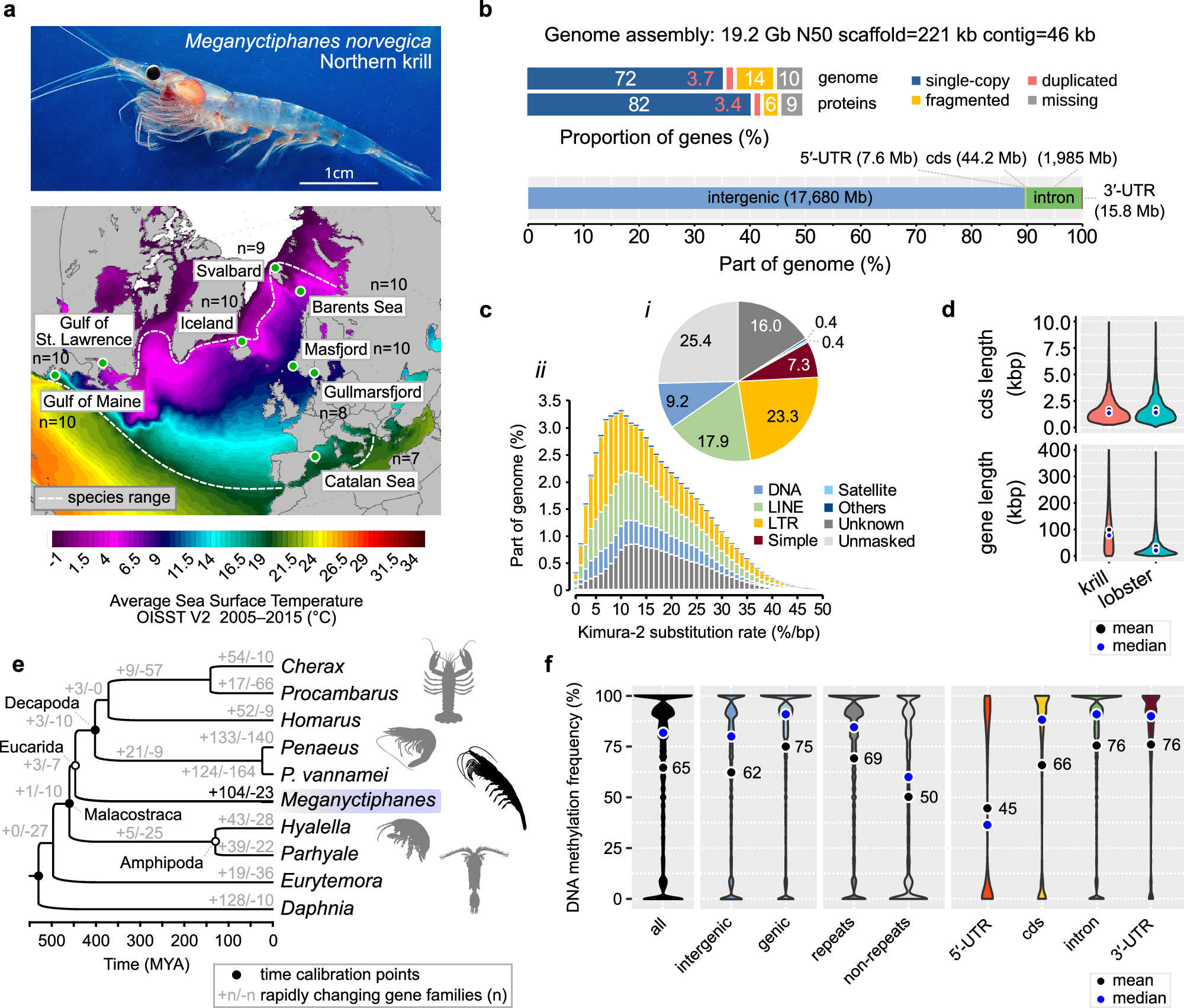 Ecological genomics in the Northern krill uncovers loci for local  adaptation across ocean basins | Nature Communications