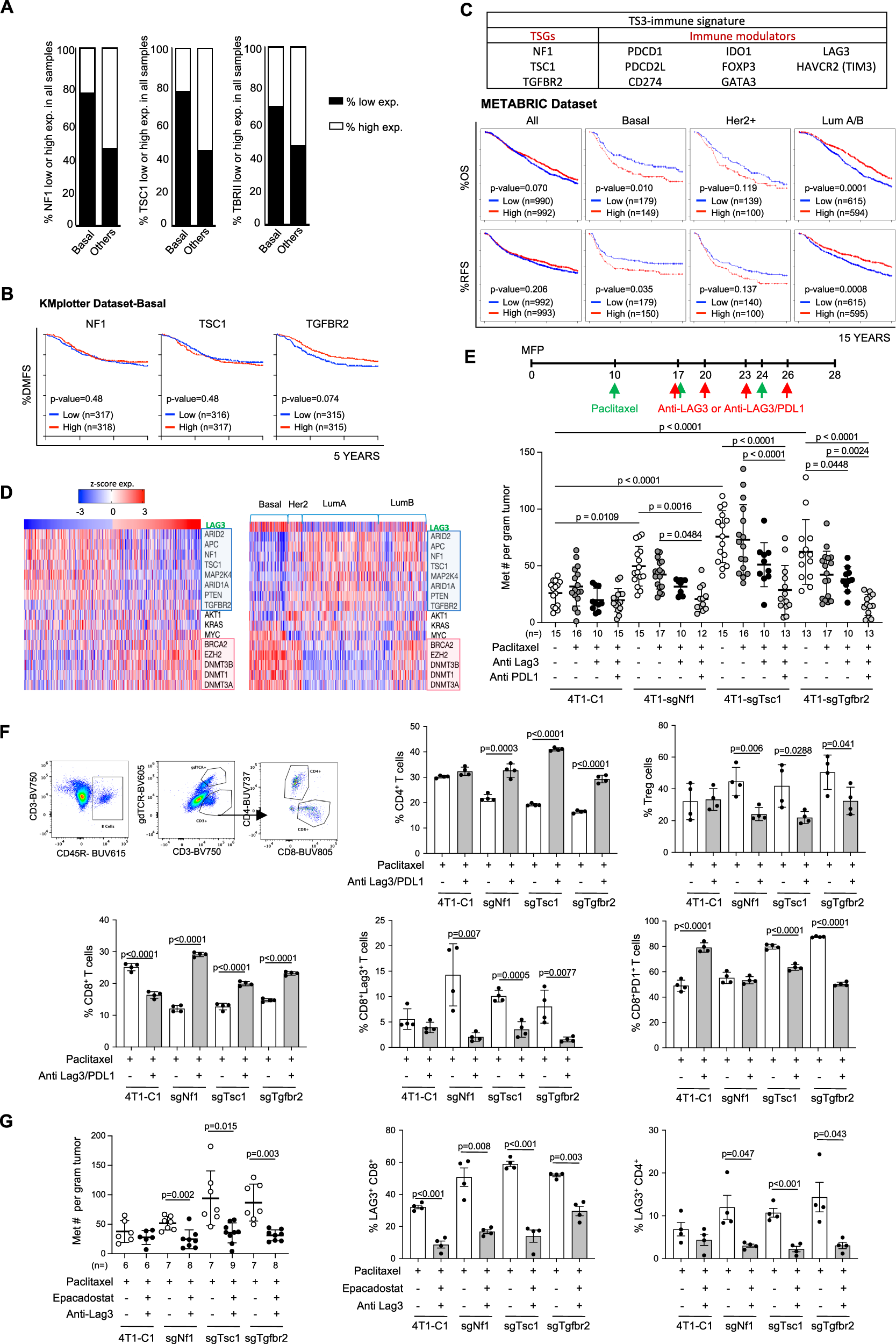 Fig. 7: Targeting LAG3 and PD-L1 in tumors with NF1, TSC1, or TβRII deficiency.
