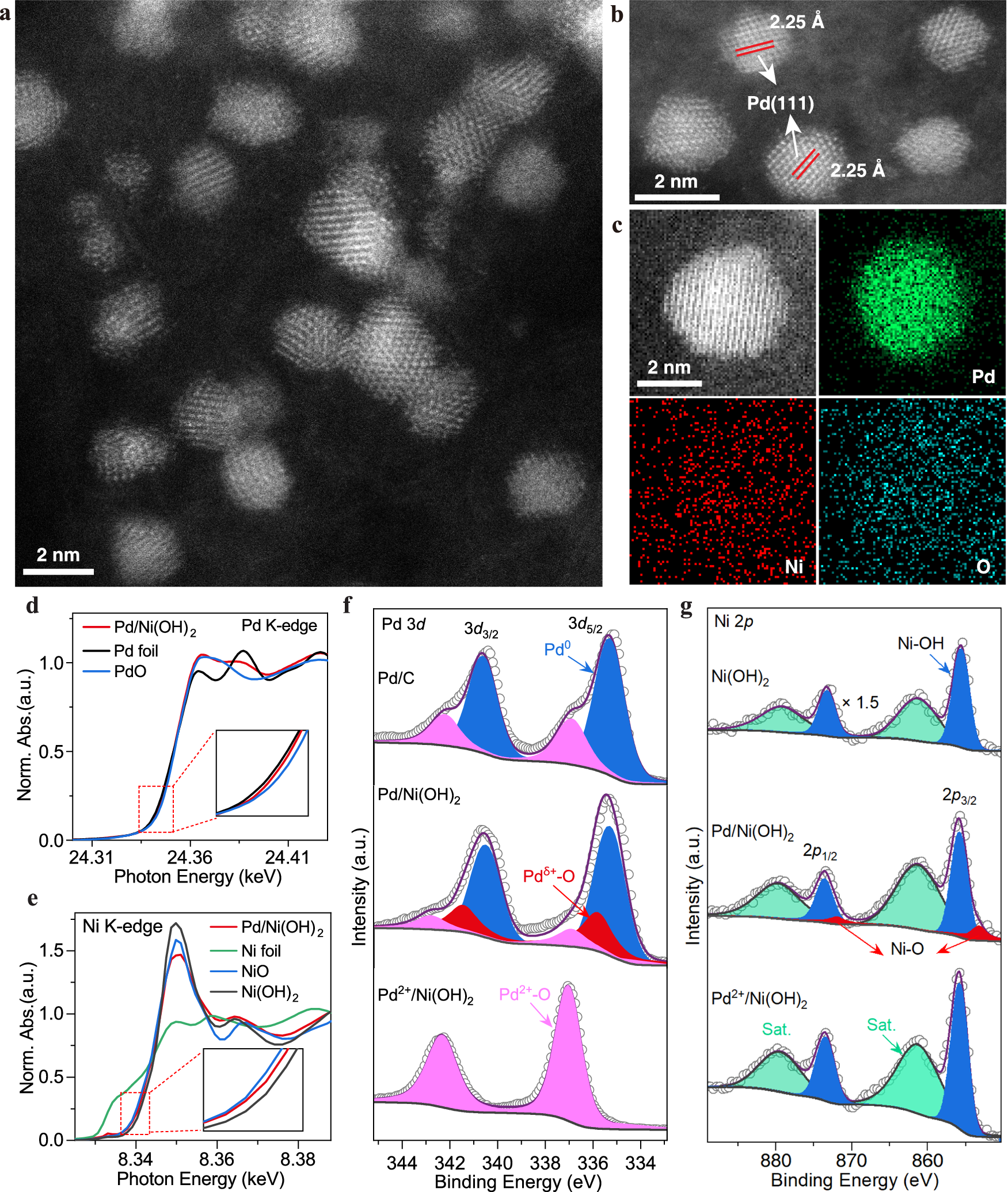 Fig. 2: Structural characterizations of the Pd/Ni(OH)2 catalyst.