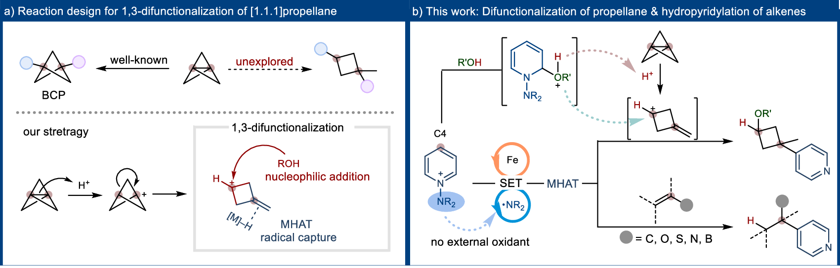 1-3-difunctionalization-of-1-1-1-propellane-through-iron-hydride-catalyzed-hydropyridylation-nature-communications