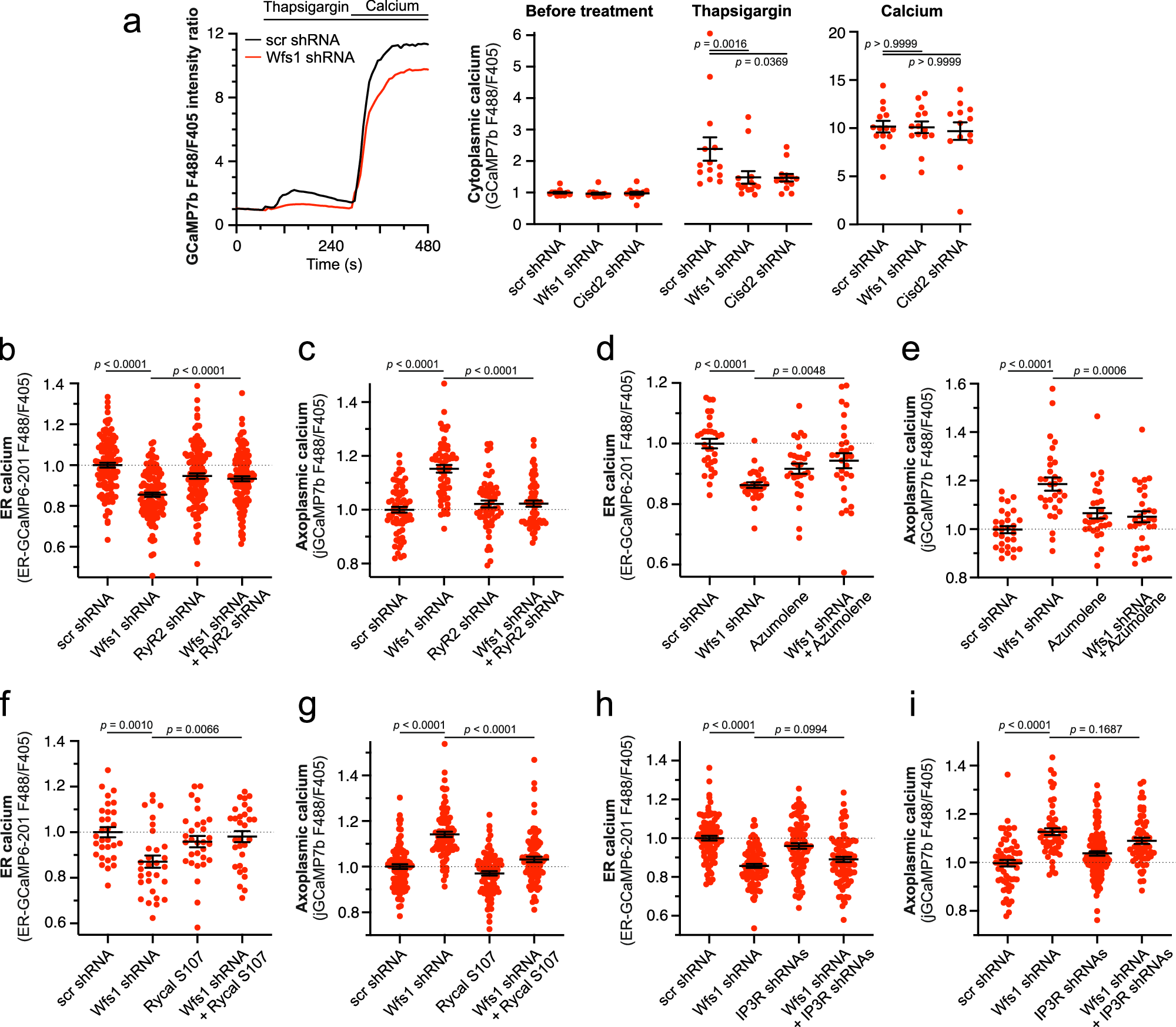 Fig. 2: Leak through the RyR receptor is responsible for ER Ca2+ loss in WFS1-deficient neurons.