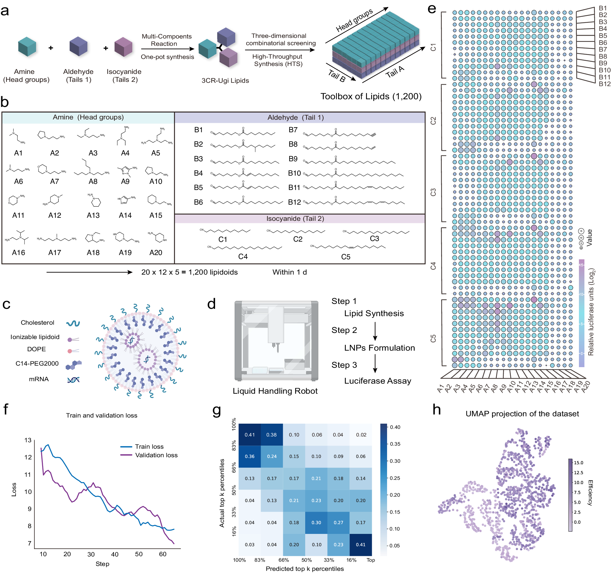 Fig. 2: High-throughput lipids synthesis and screening platform.
