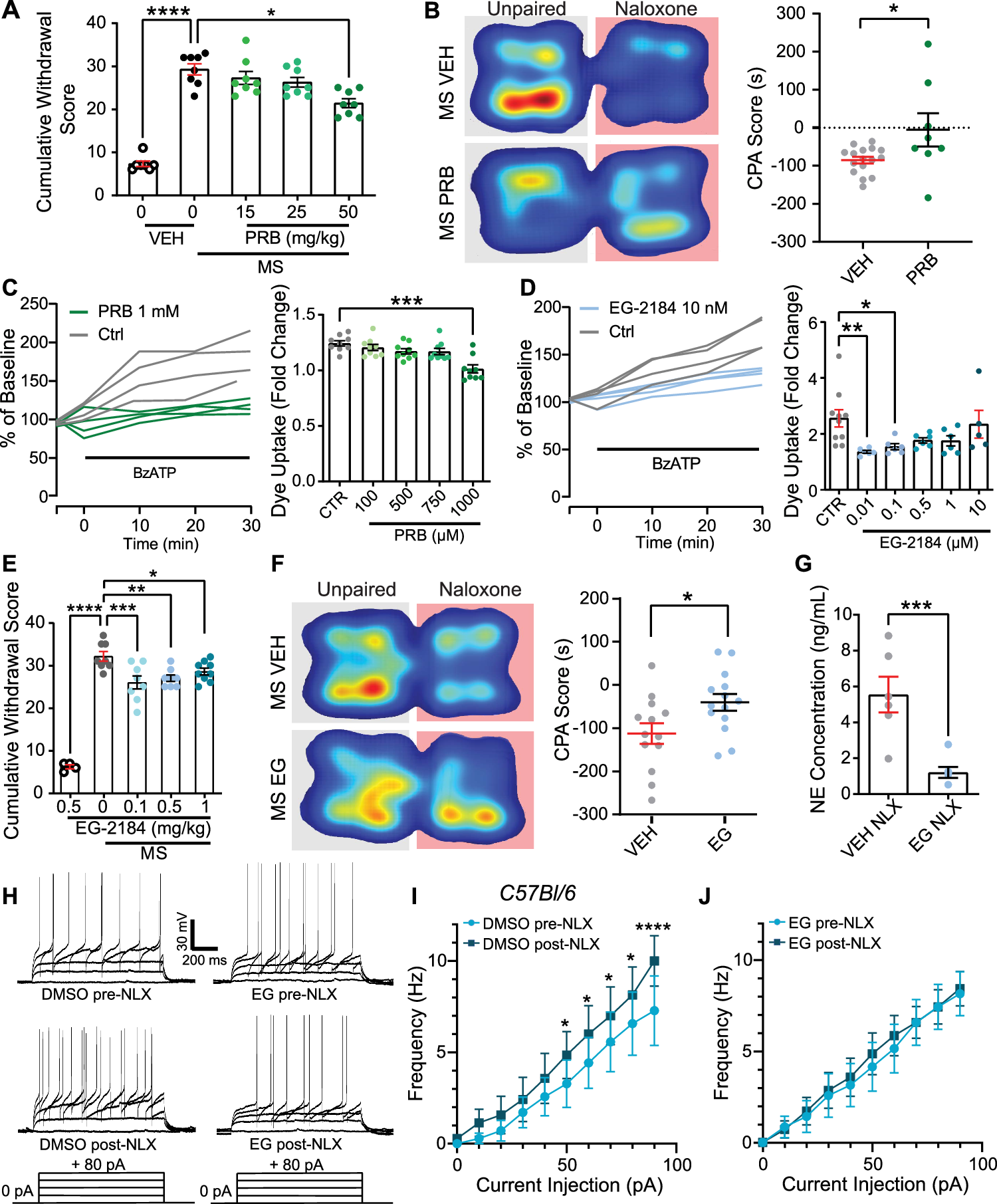Fig. 5: Panx1 inhibition alleviates opioid withdrawal and blunts NE release.