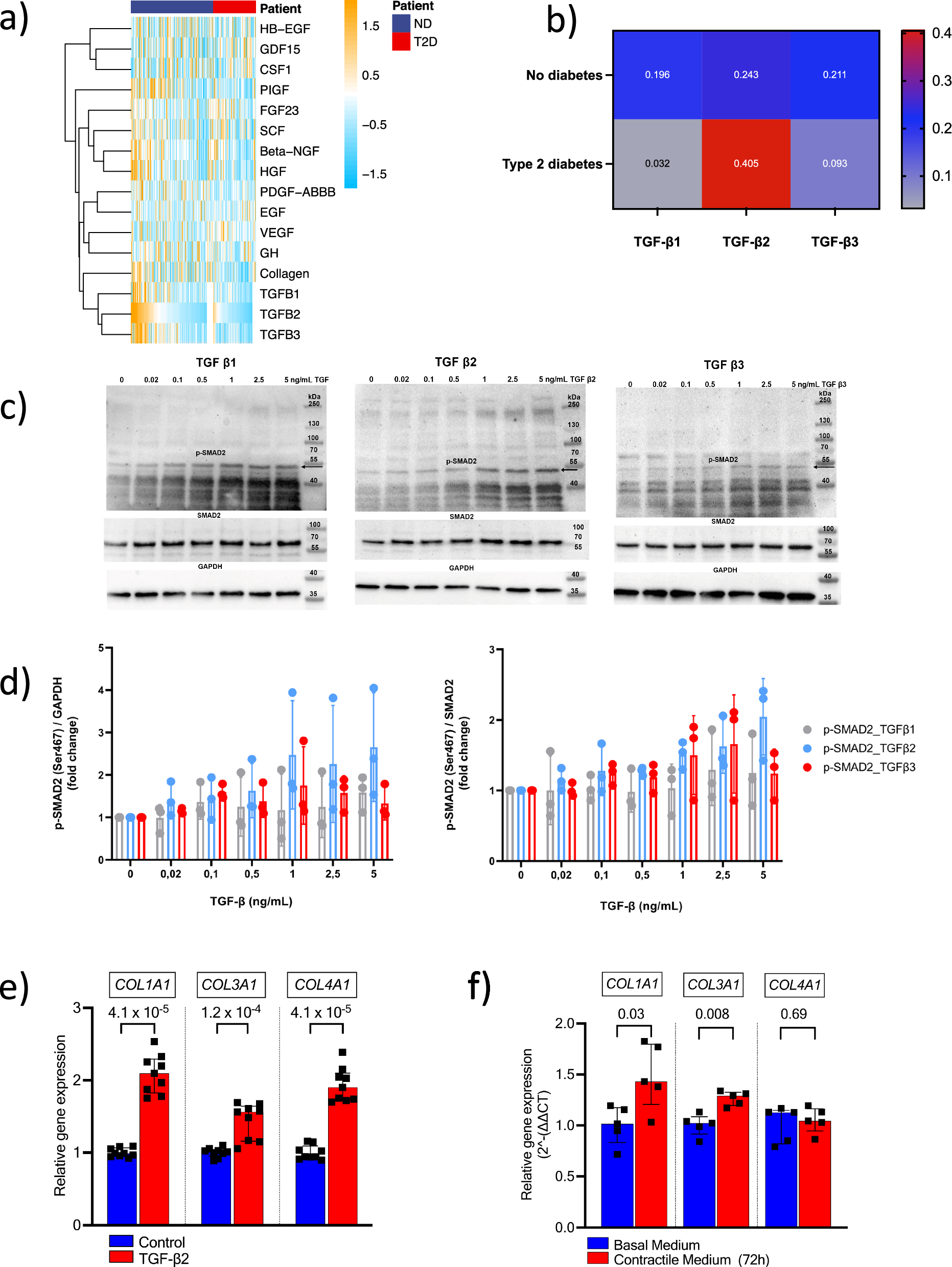 Fig. 4: TGF-β2 shows strong associations with collagen.