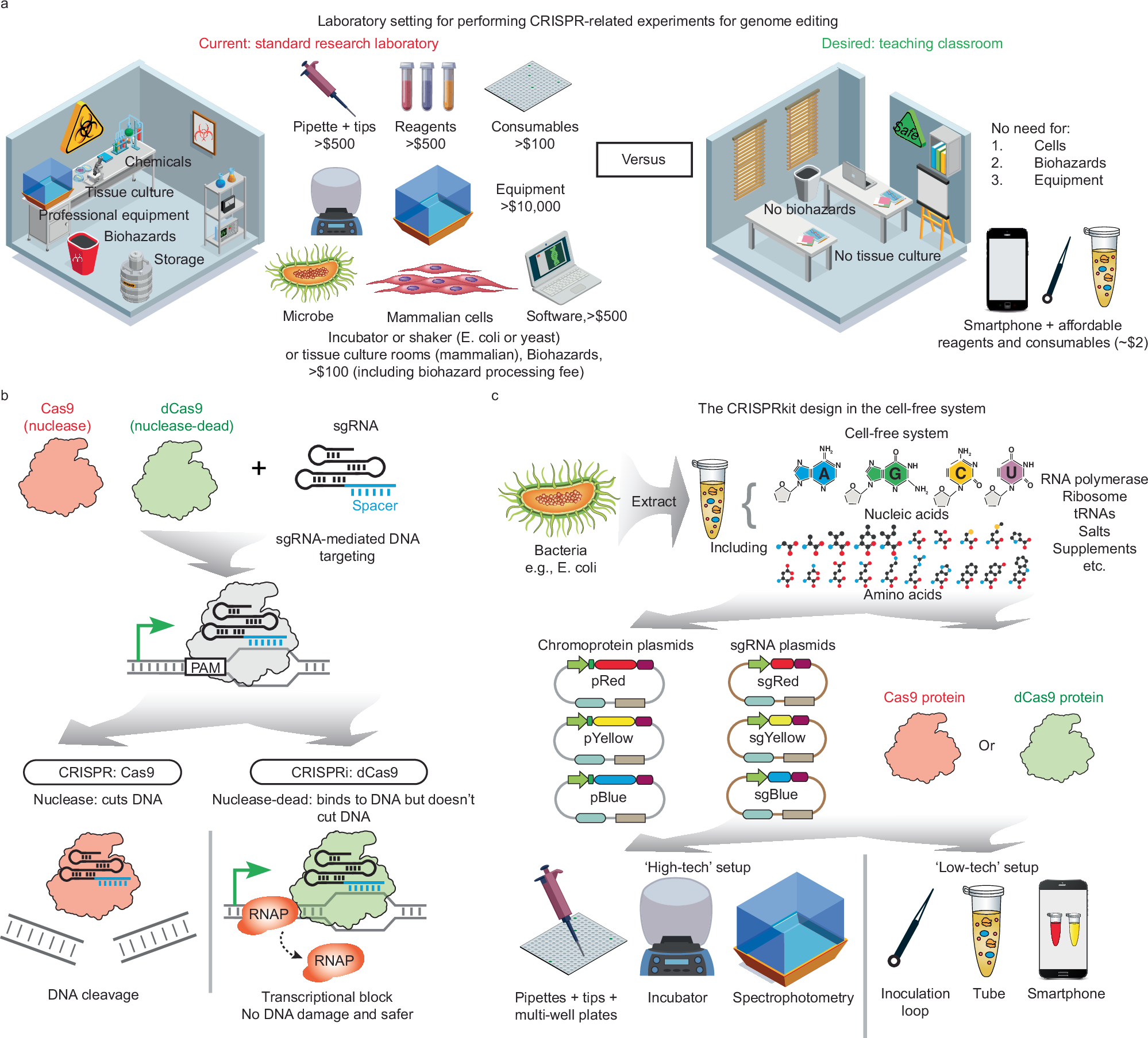 A frugal CRISPR kit for equitable and accessible education in gene editing  and synthetic biology | Nature Communications