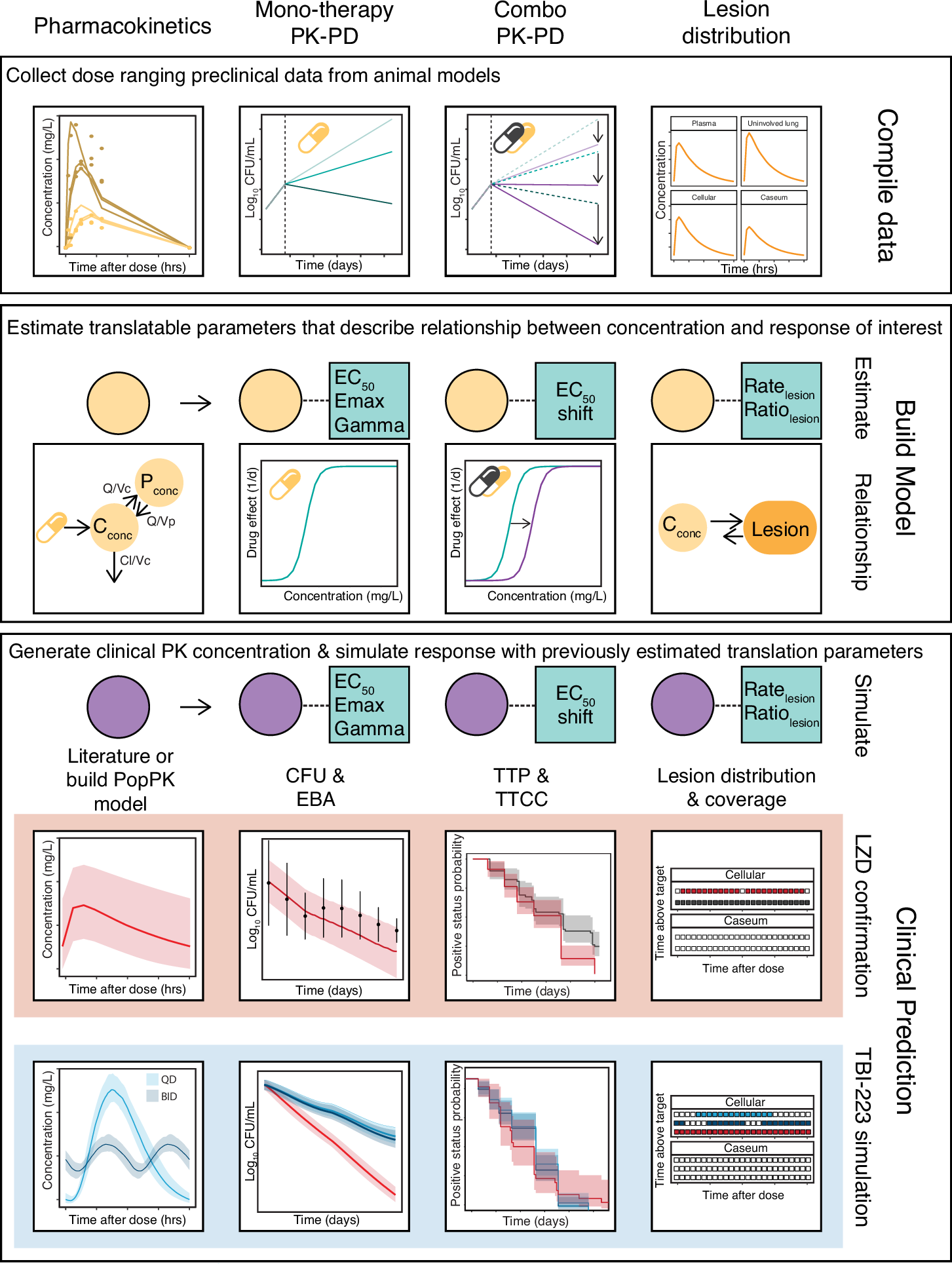 Dose optimization of TBI-223 for enhanced therapeutic benefit compared to  linezolid in antituberculosis regimen | Nature Communications
