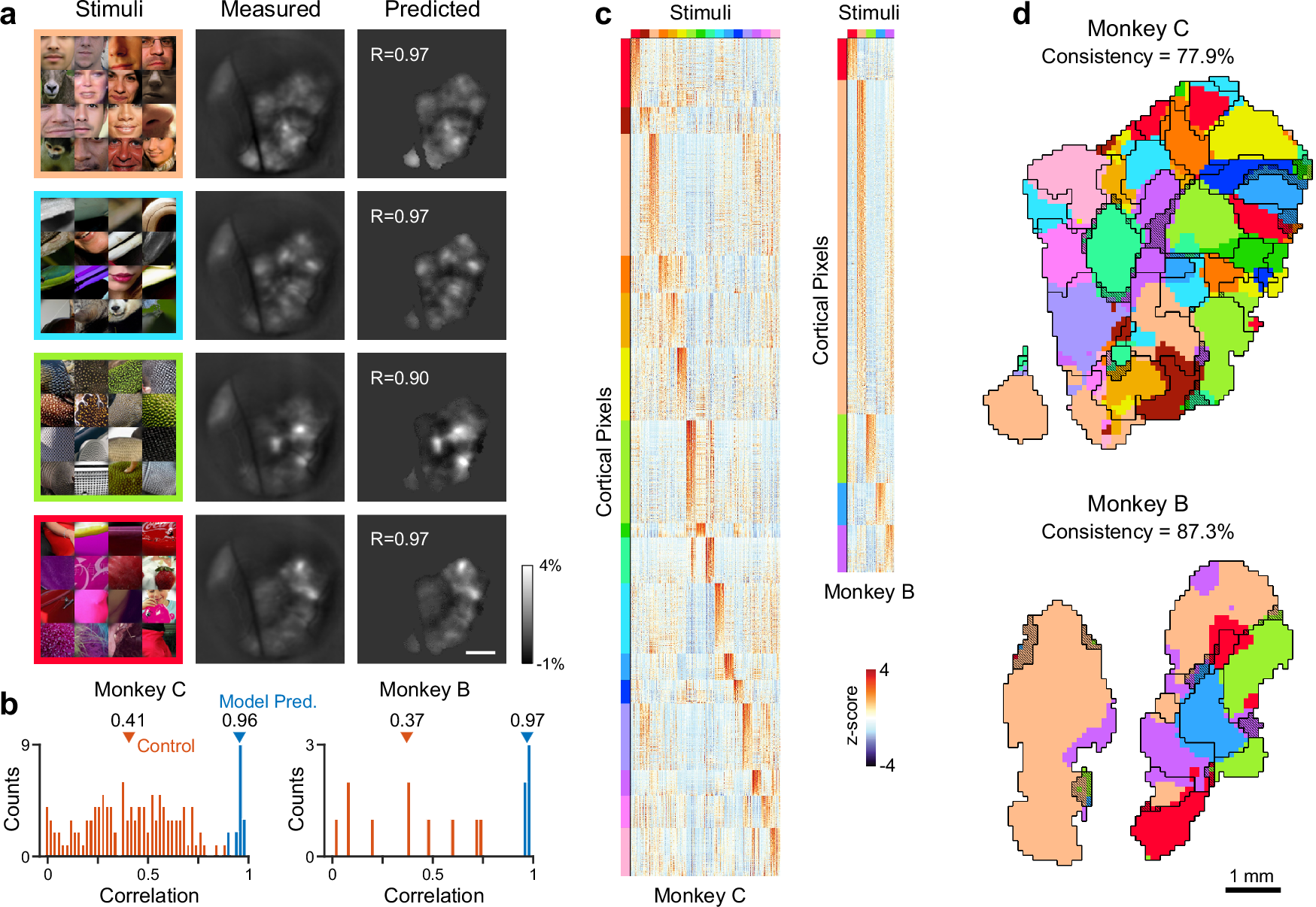 Fig. 4: Experimental verification of the model-predicted preference map.