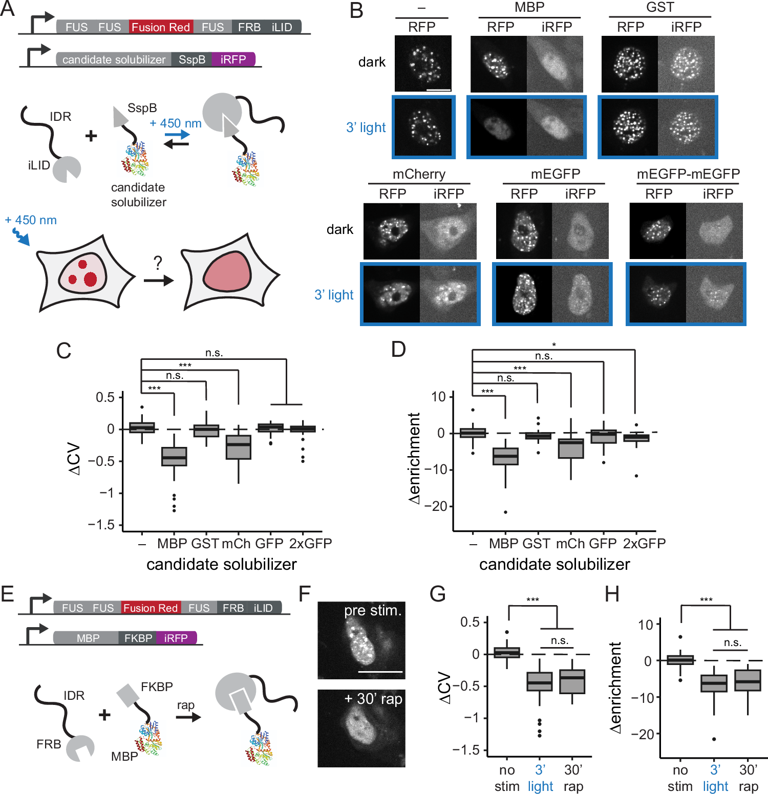 Rapid and reversible dissolution of biomolecular condensates using light-controlled recruitment of a solubility tag | Nature Communications evidence-rubber-stamp-legal-stamps-engineer-seal-stamps