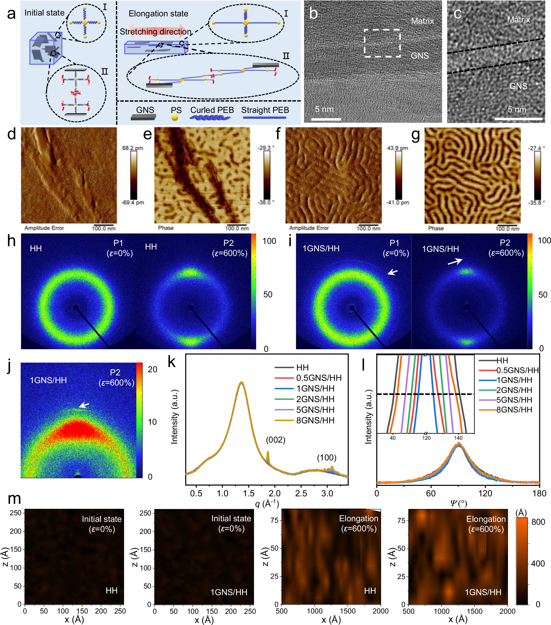Fig. 2: The structure evolution and the enhancement mechanism of s-CE for GNS/HHs.