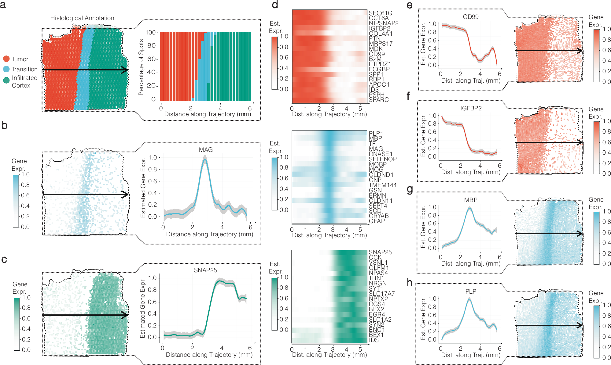 Fig. 2: Spatial expression analysis of genes identified by differential expression analysis (DEA) along a linear trajectory.