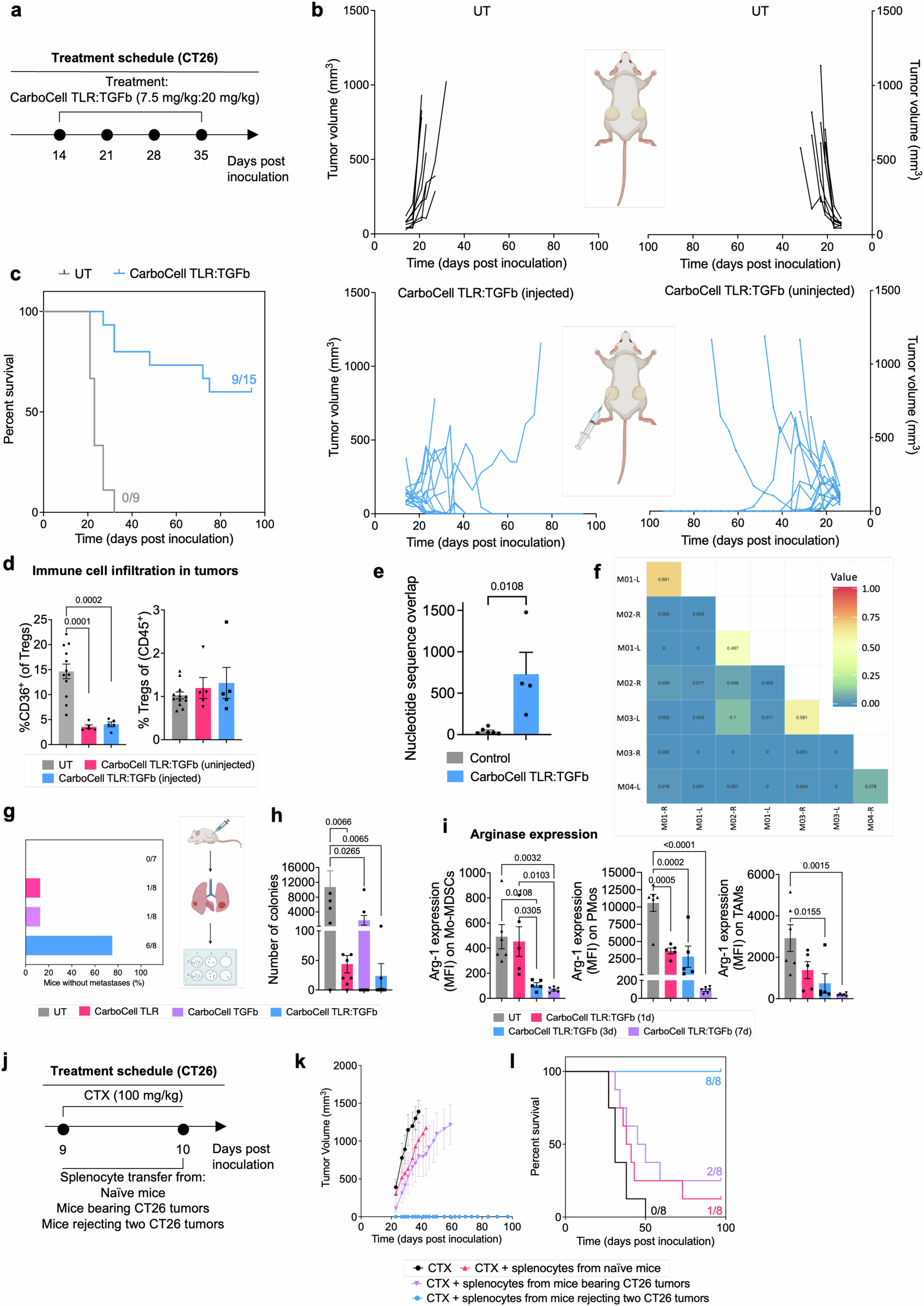 Fig. 4: Intratumoral CarboCell TLR:TGFb induces systemic anticancer immune activity and immunological memory.