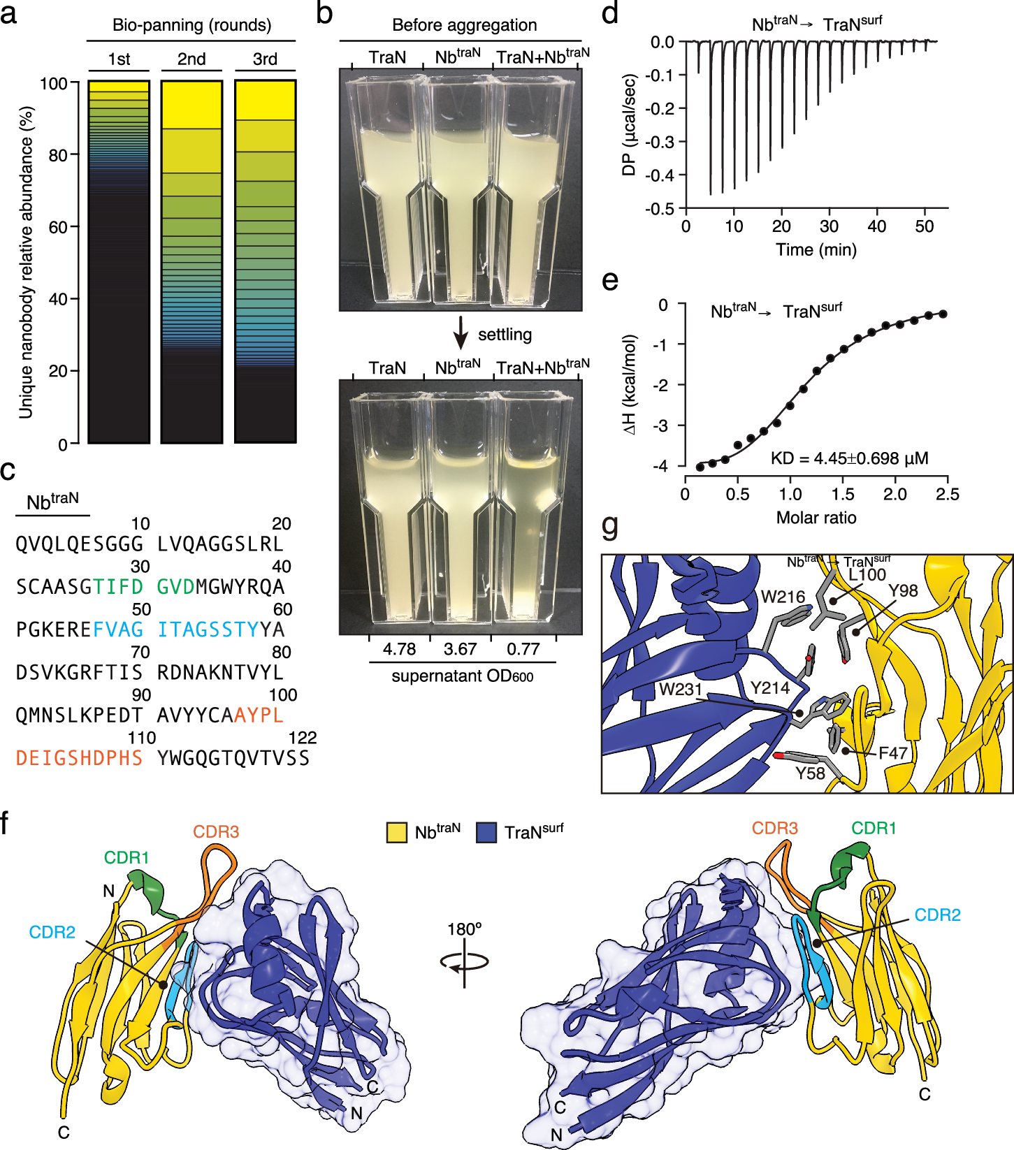 Fig. 3: Identification of nanobody recognizing TraN via the CAM discovery platform.