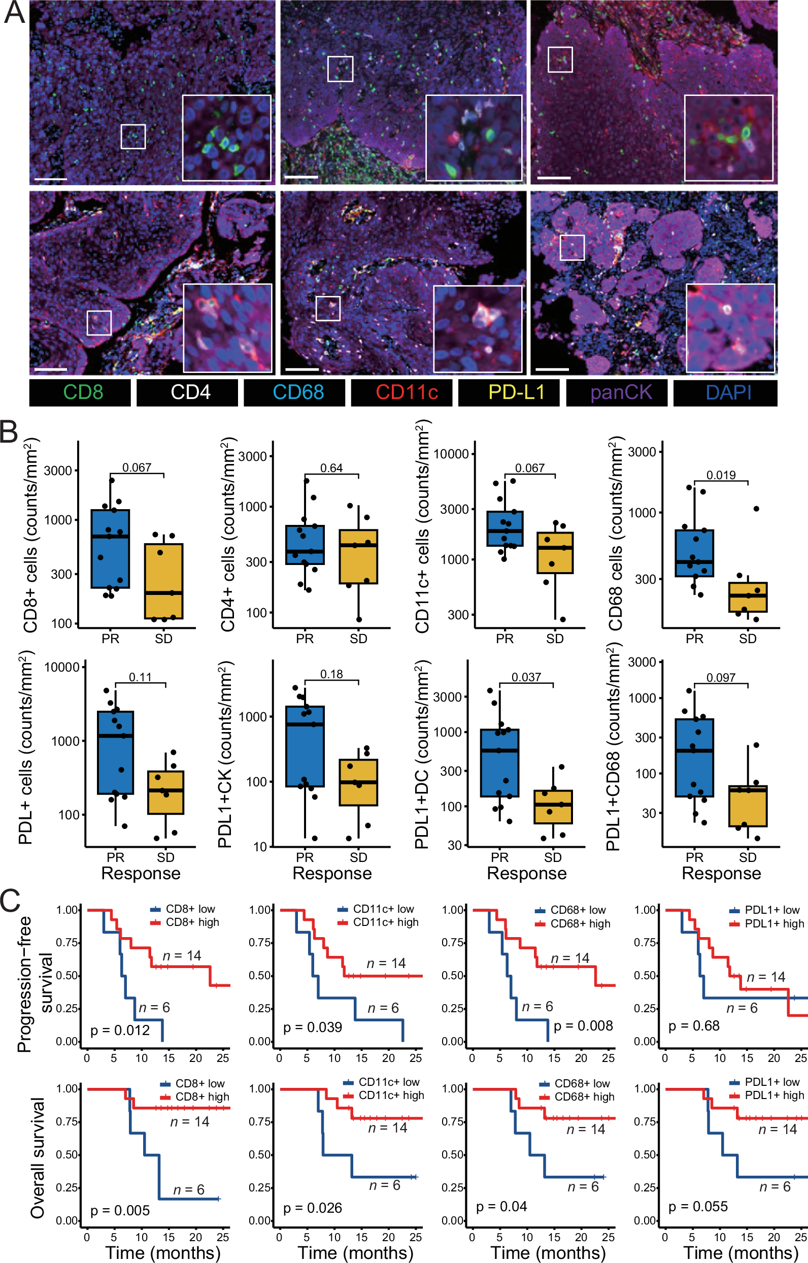 Fig. 4: Biomarkers in the tumor microenvironment.