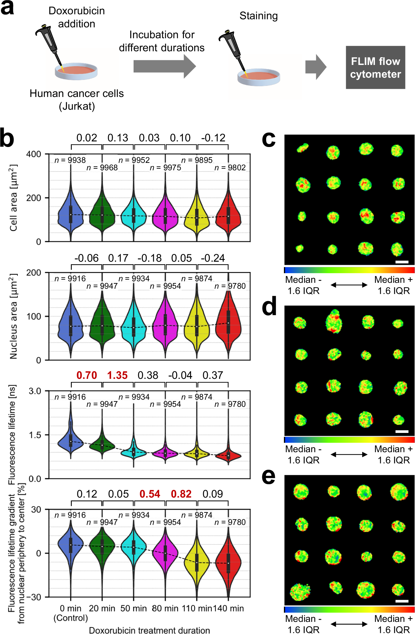 Fig. 6: Large-scale analysis of drug-induced temporal nucleus dynamics with FLIM flow cytometry.