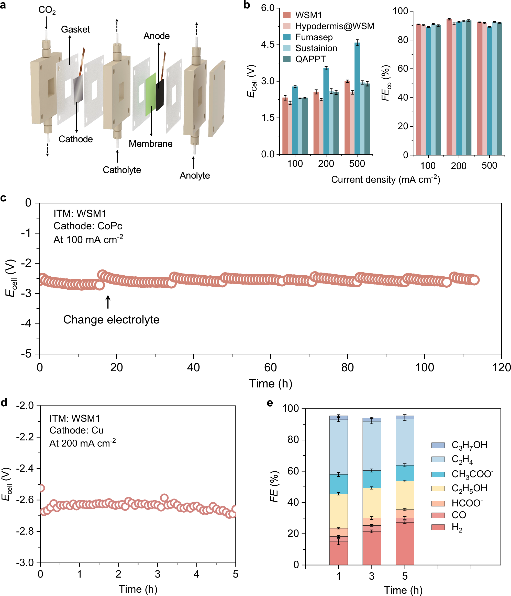 Fig. 5: The performance of the CO2RR system with WSM1 as ISM.