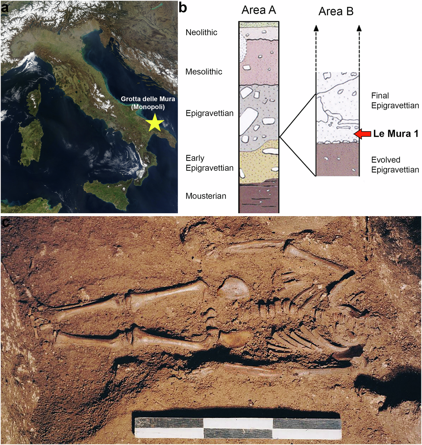 Fig. 1: Contextual information for the skeletal remains of Le Mura 1.