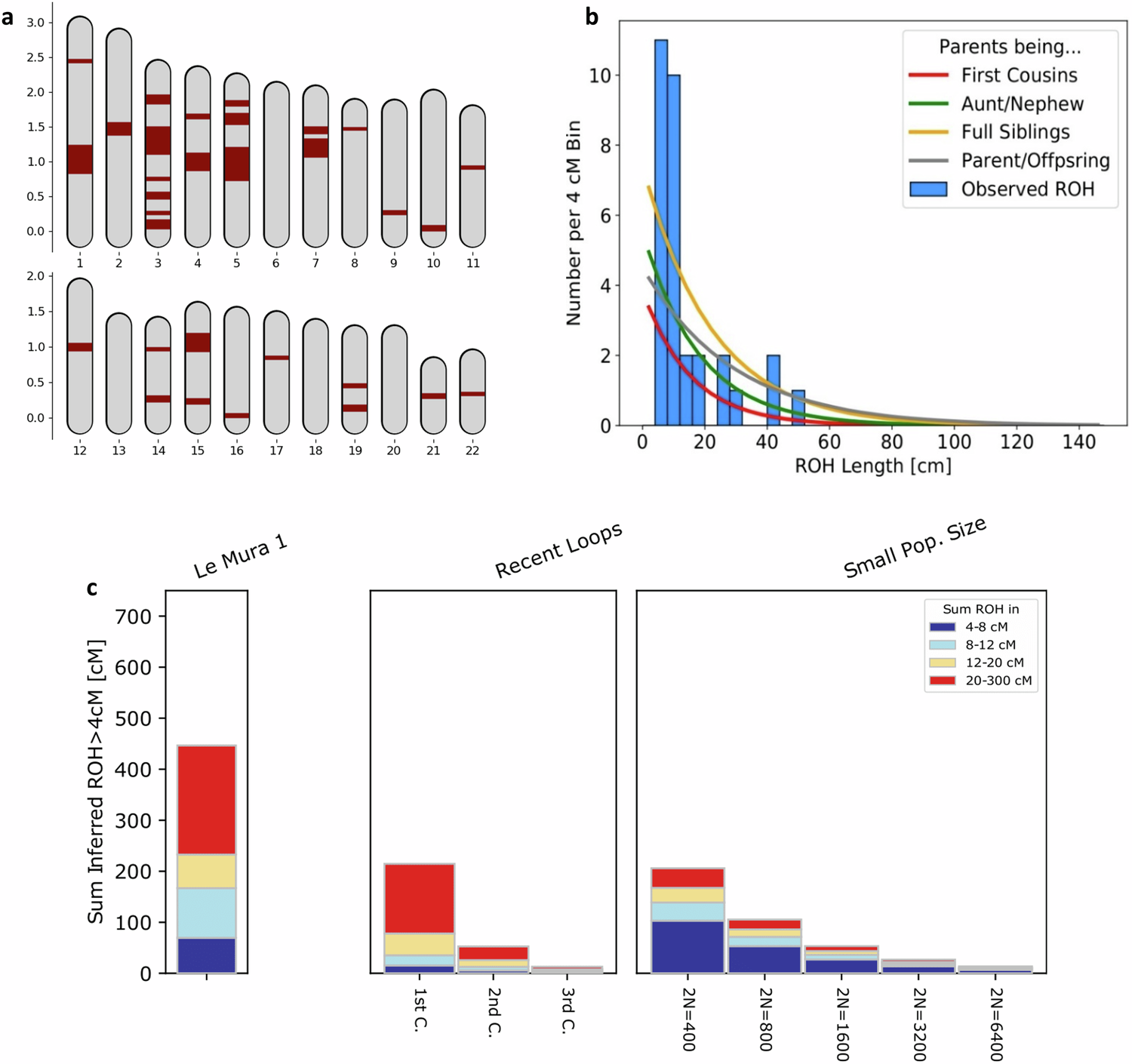 Fig. 6: ROH in Mura’s autosomes.