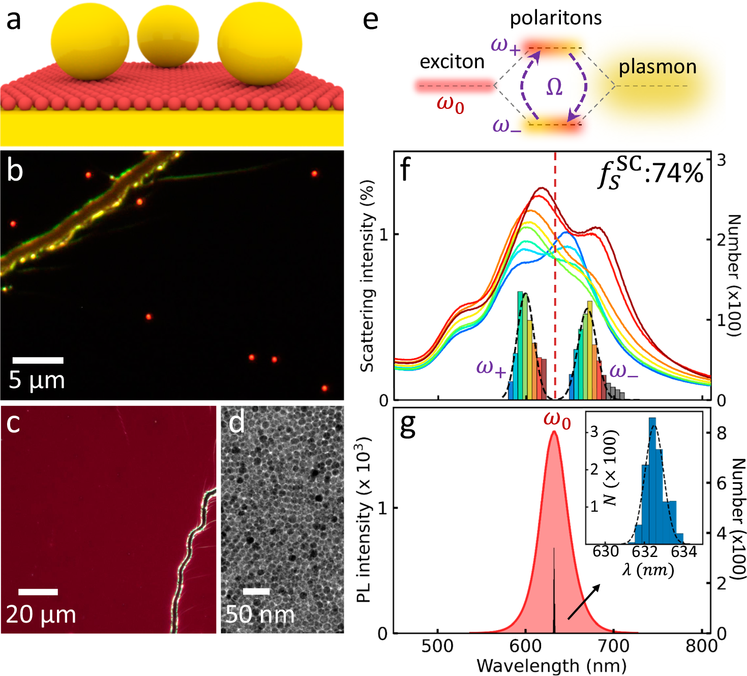 Fig. 1: Strong coupling between plasmonic nanocavity and quantum dots (QDs).