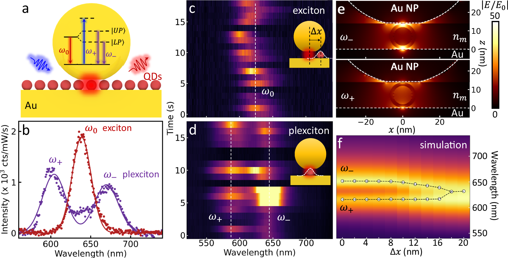 Fig. 2: Photoluminescence characterization of single quantum dot (QD) coupled to plasmonic nanocavity.