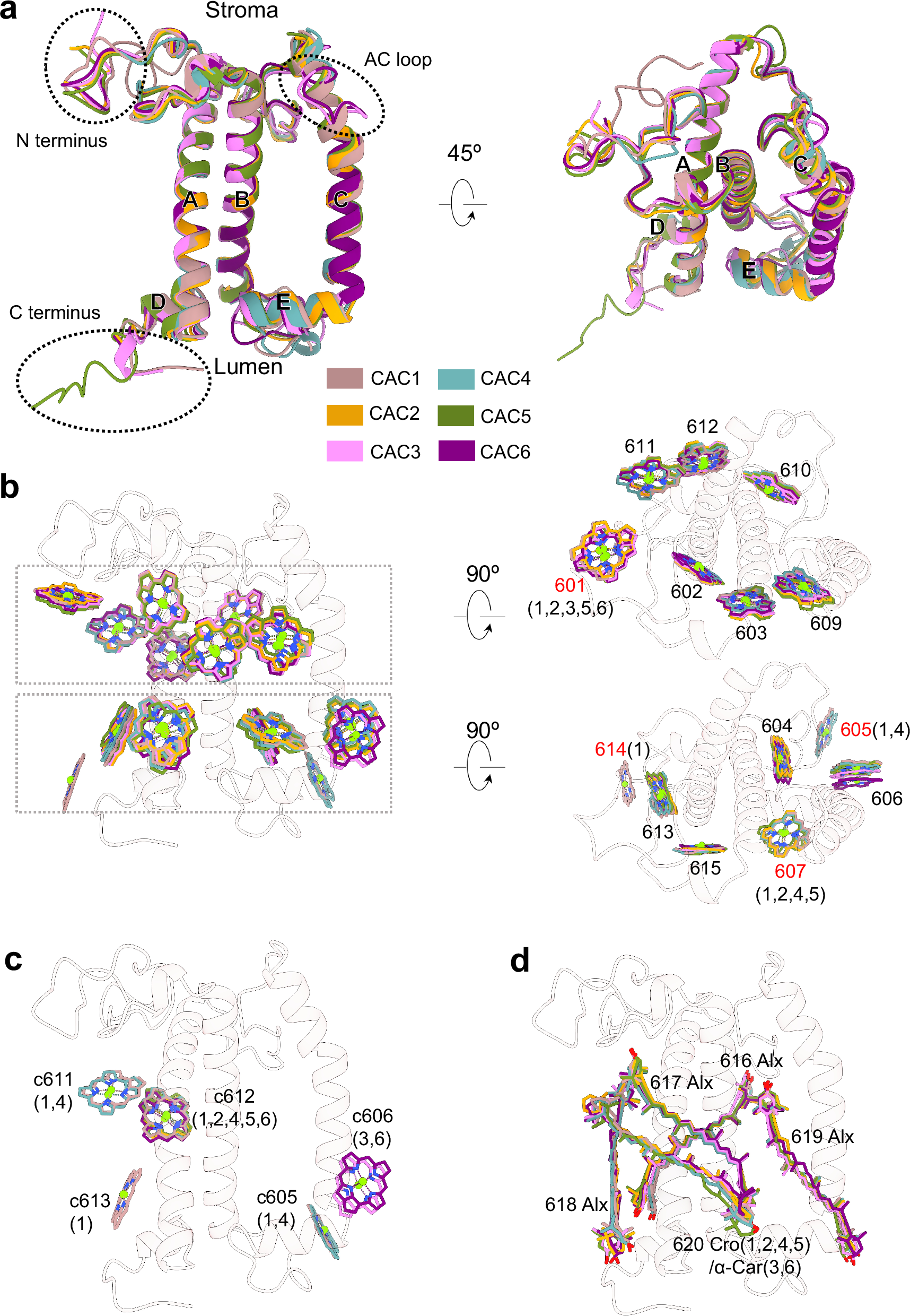Fig. 2: Structures of six CACs.