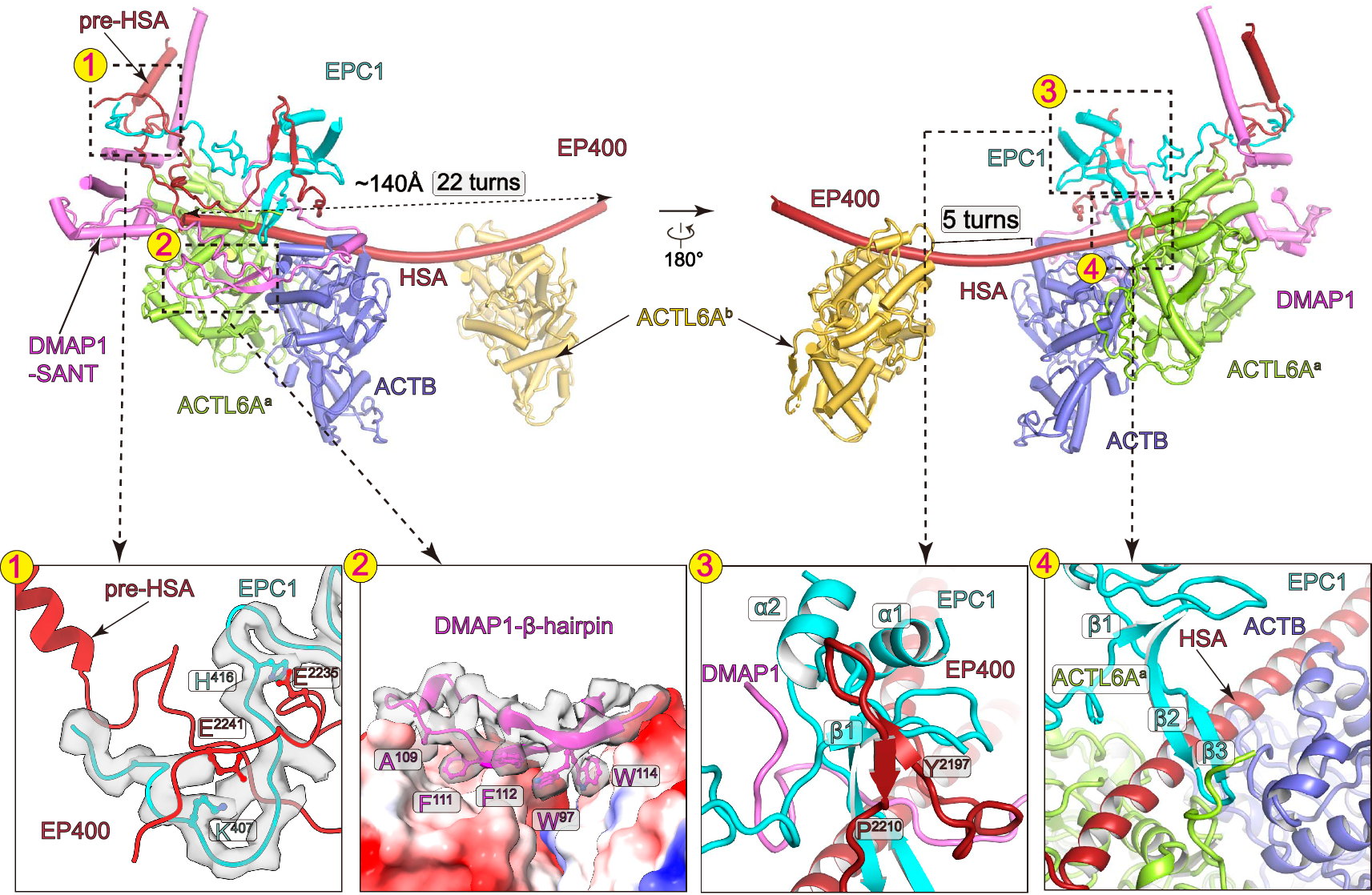 Fig. 3: Structure of the ARP module.