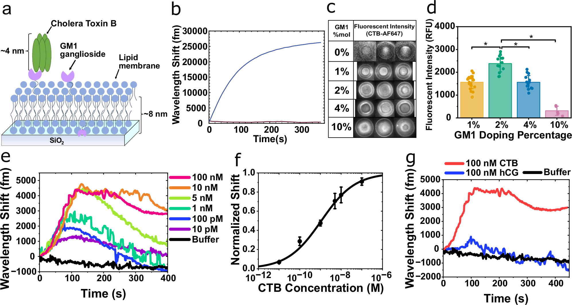 Fig. 2: GM1-CTB binding signals.
