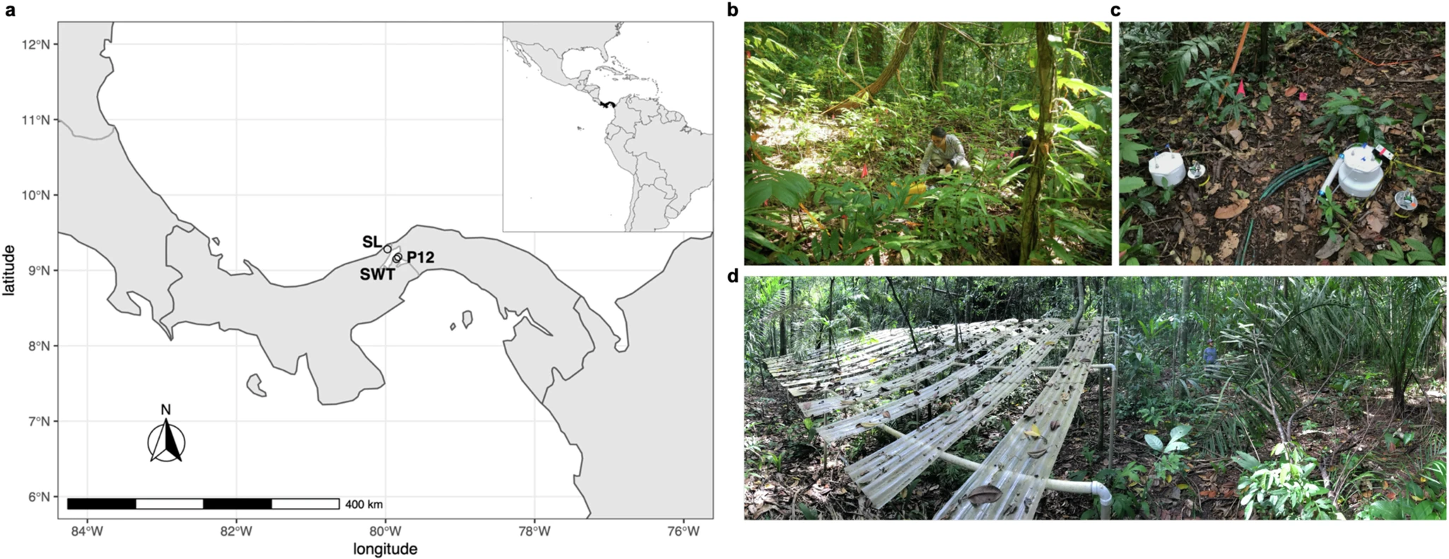 emissões de CO2 nas florestas tropicais